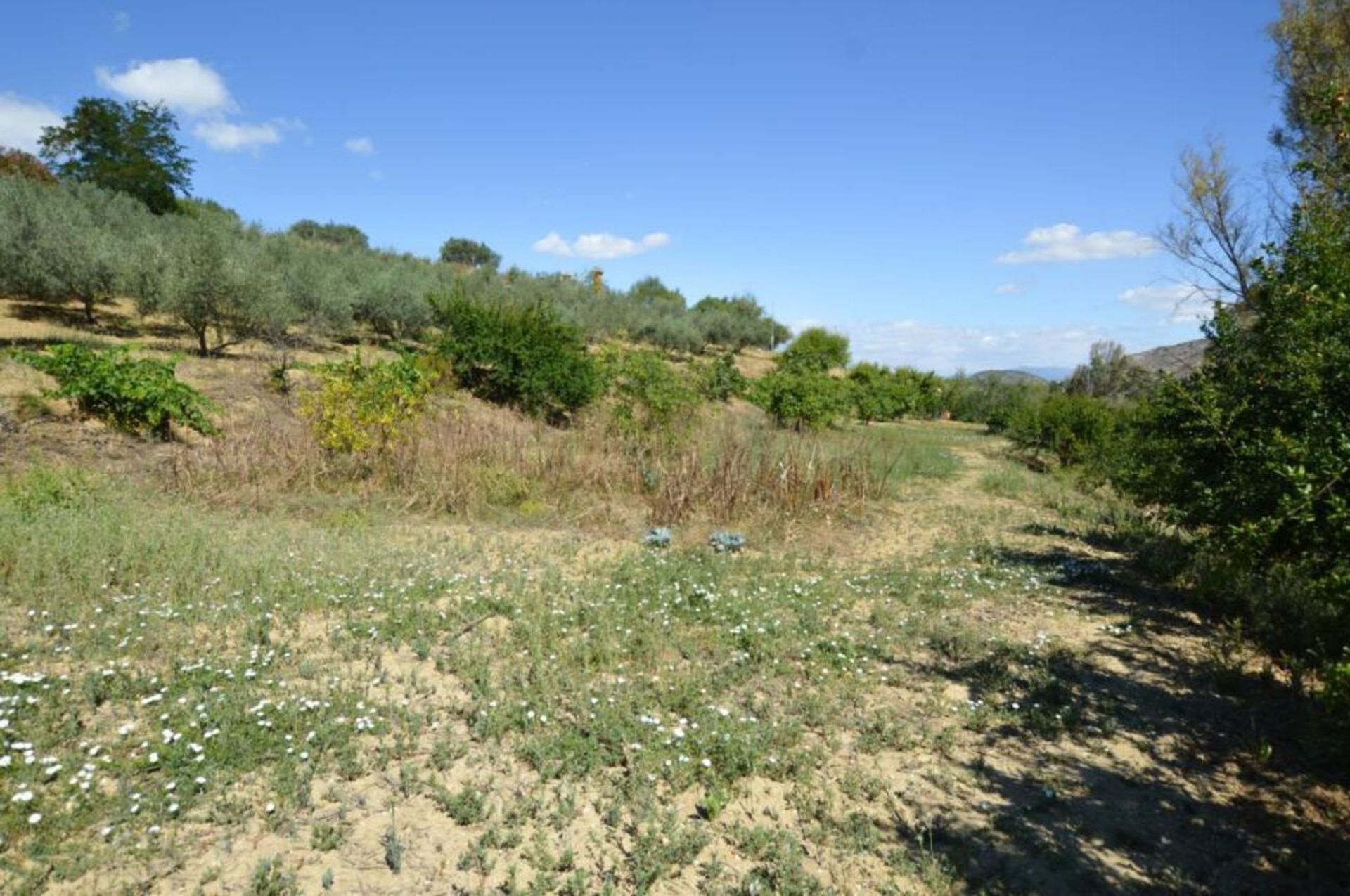 σπίτι σε Alhaurín de la Torre, Andalucía 10735431