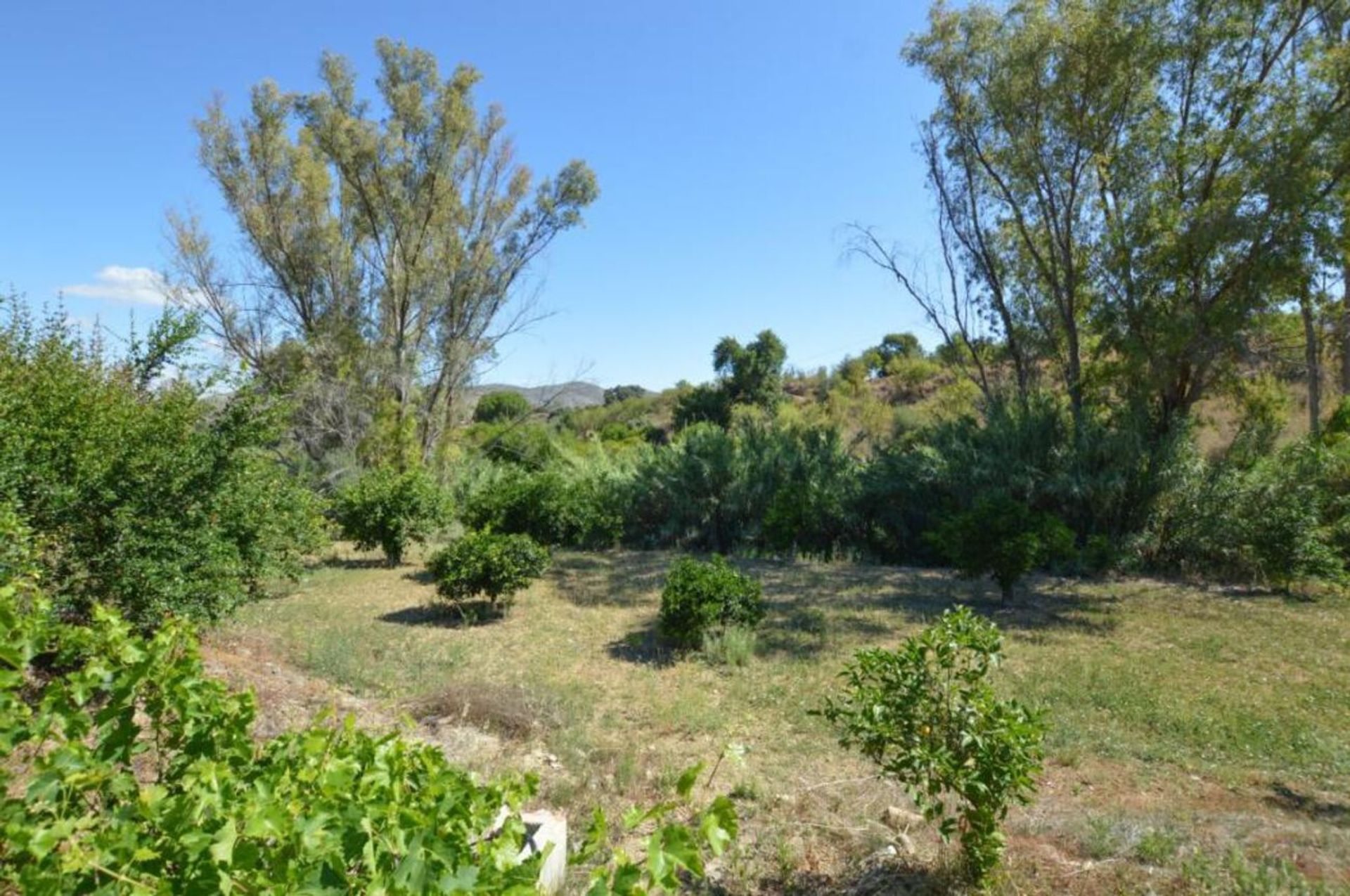 σπίτι σε Alhaurín de la Torre, Andalucía 10735431