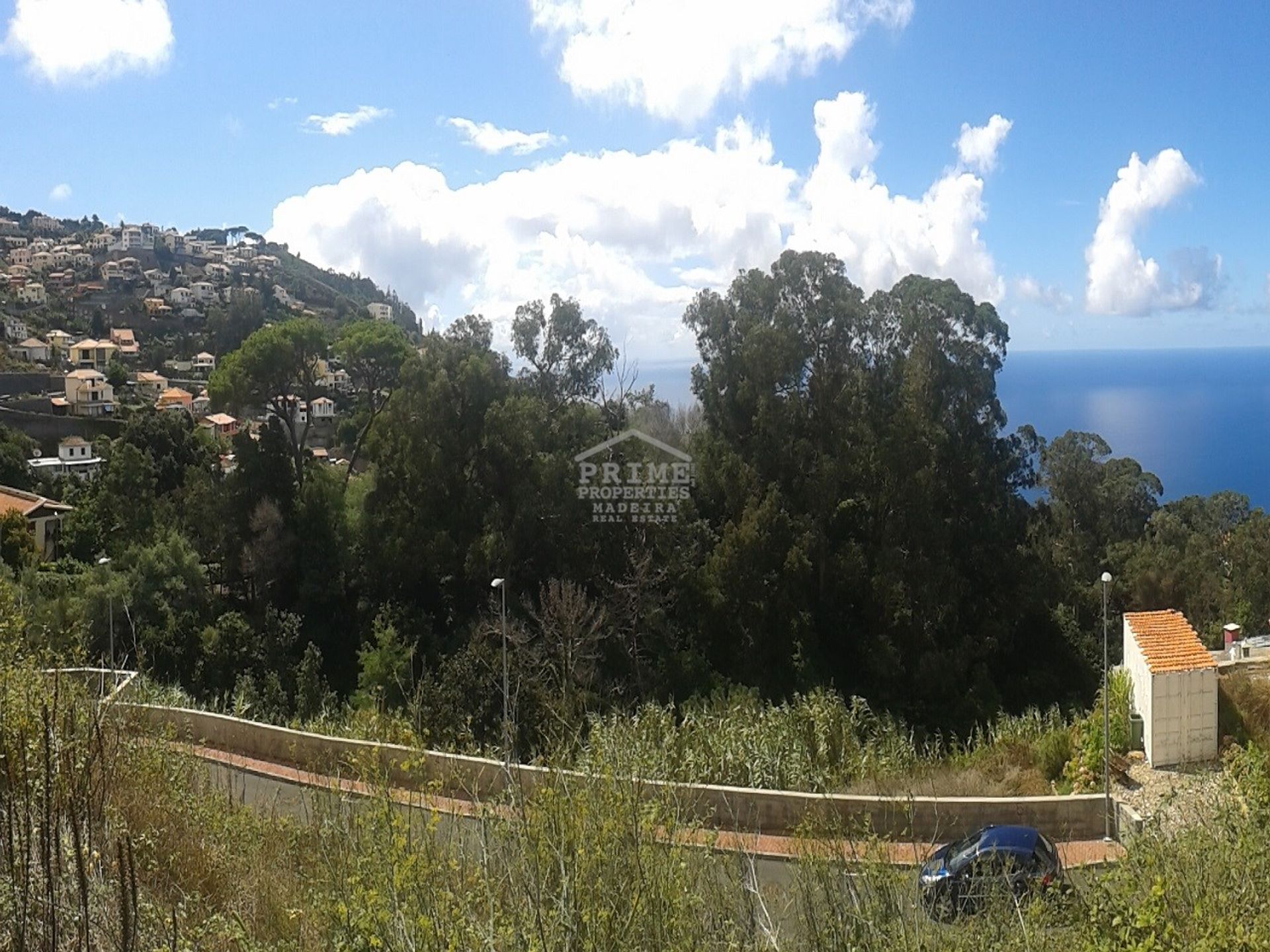 Tanah di Funchal, Madeira 10735445