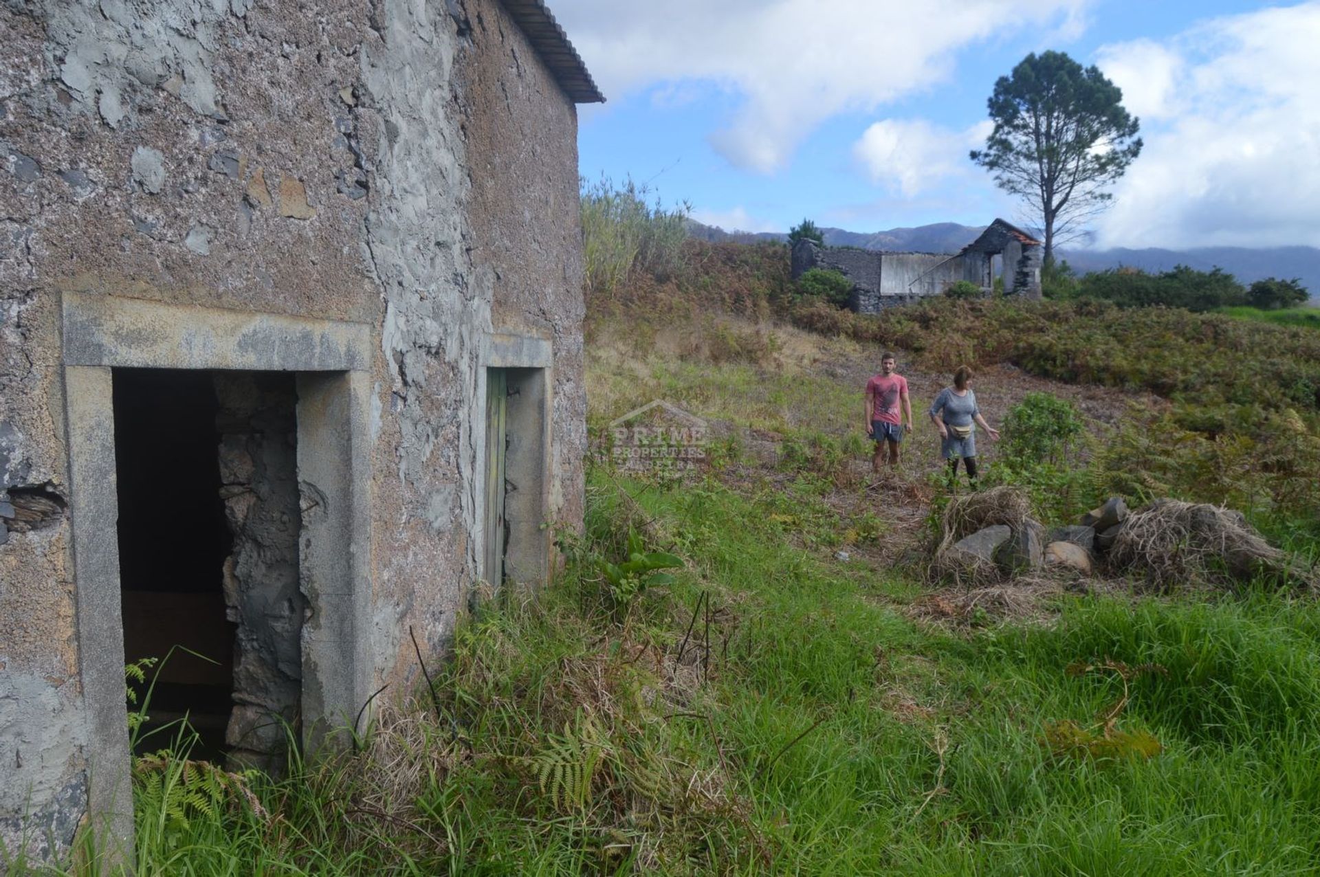 Tanah di Prazer, Madeira 10735451