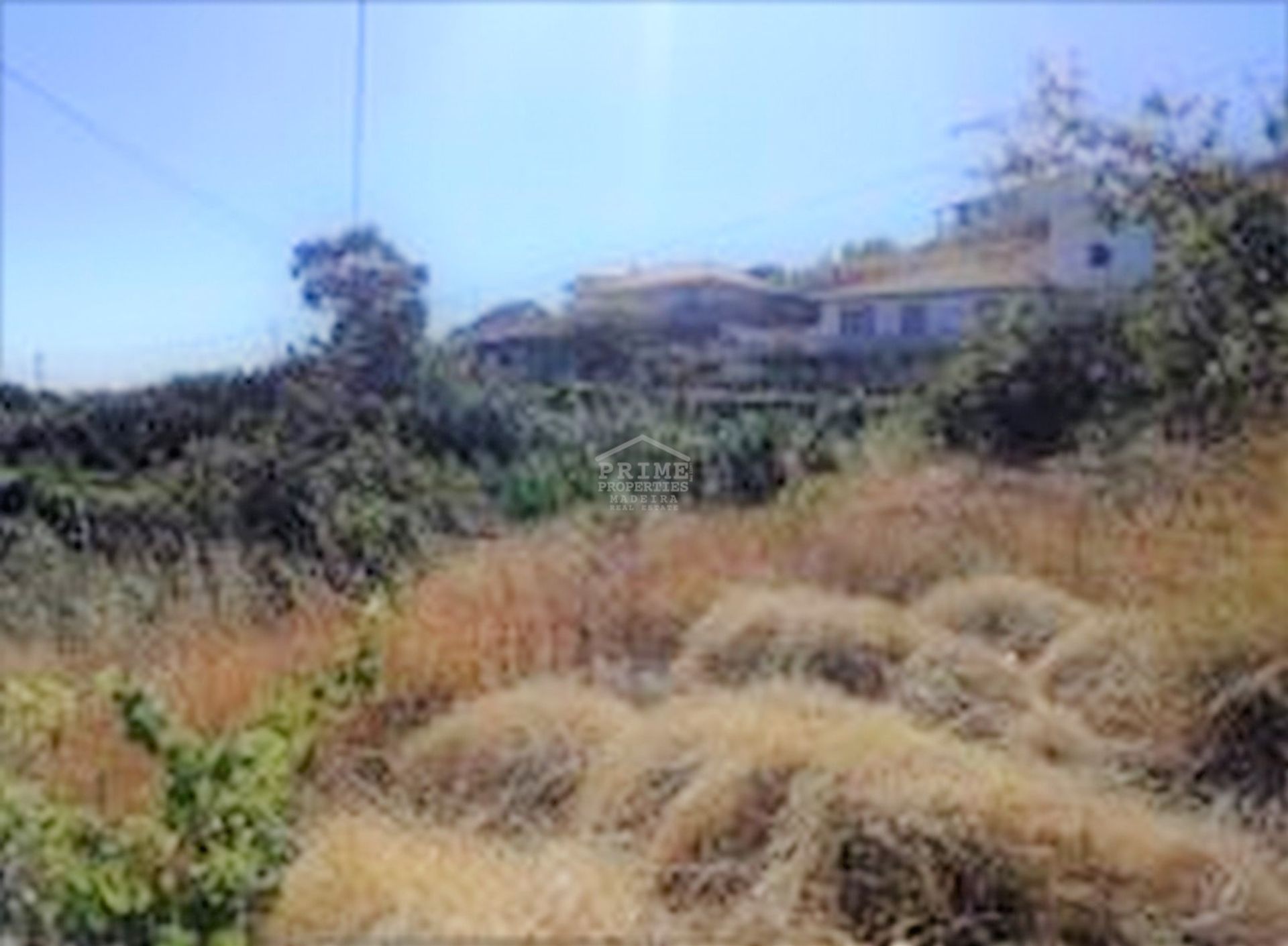 Land in Pinheiro, Madeira 10735460