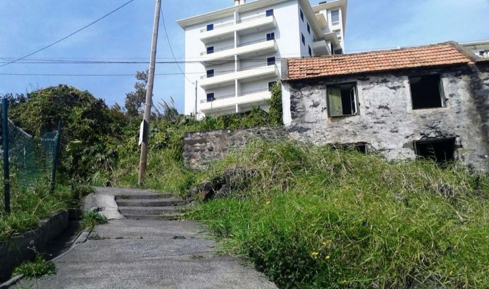 Land i Nogueira, Madeira 10735465