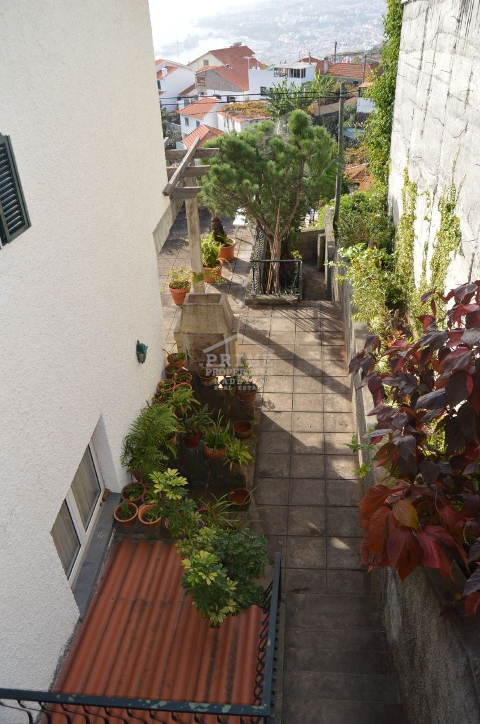 Haus im Funchal, Madeira 10735475