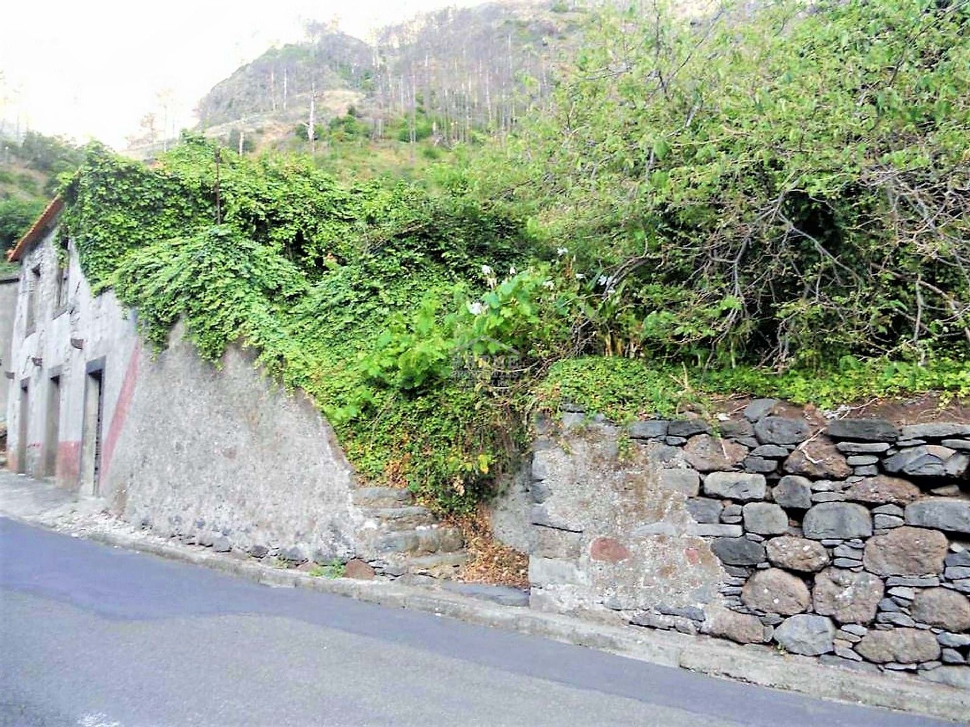 rumah dalam Serra de Água, Madeira 10735530