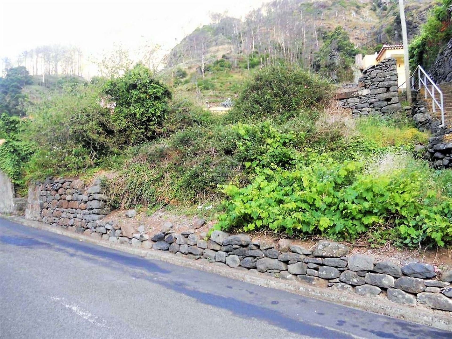 rumah dalam Serra de Água, Madeira 10735530