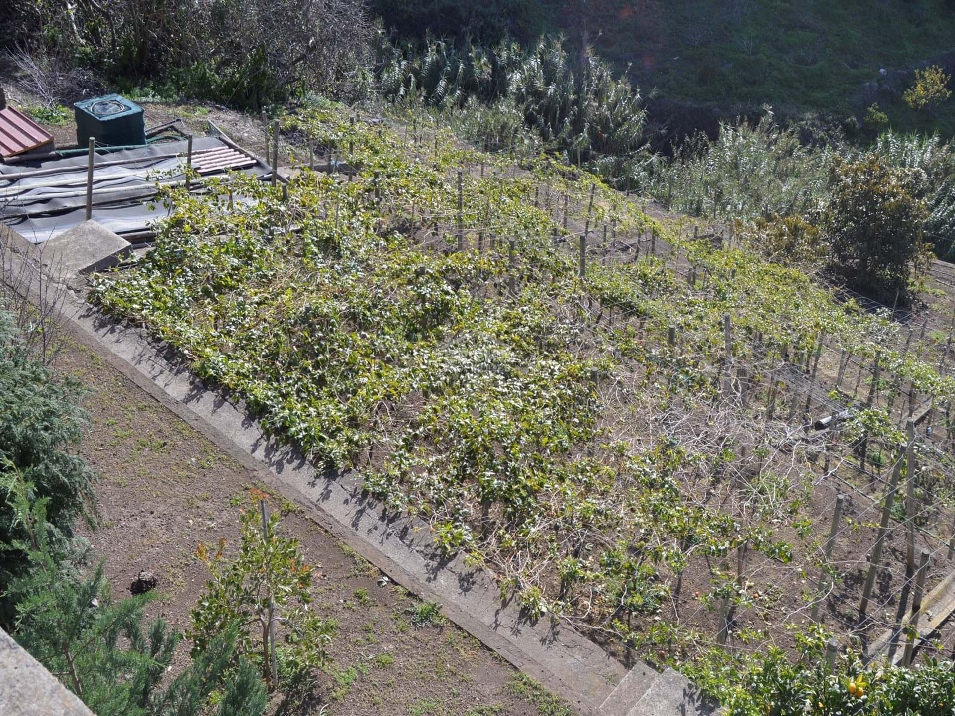 casa no Campanario, Madeira 10735534