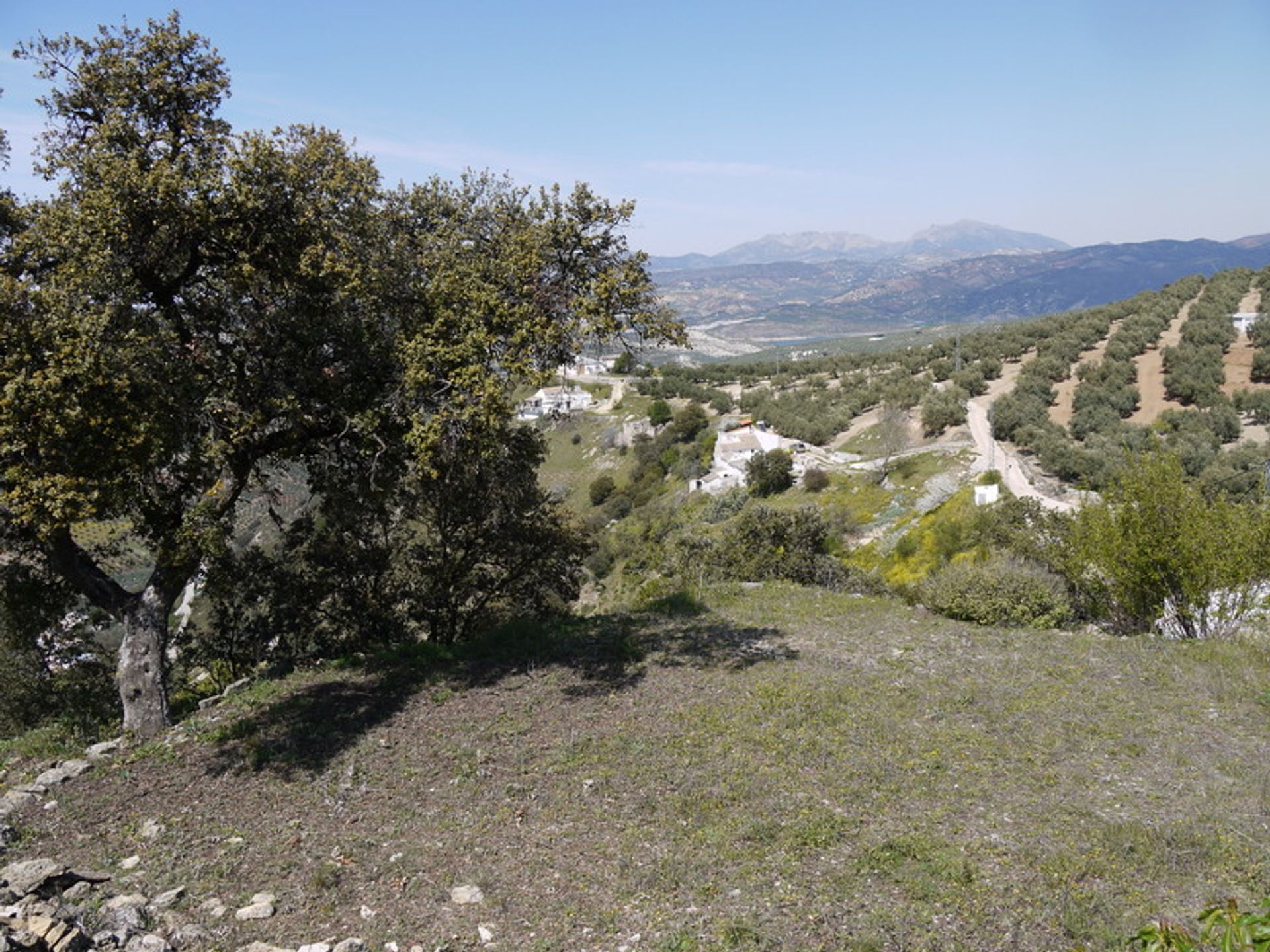 Land in Villanueva de Tapia, Andalusia 10735689