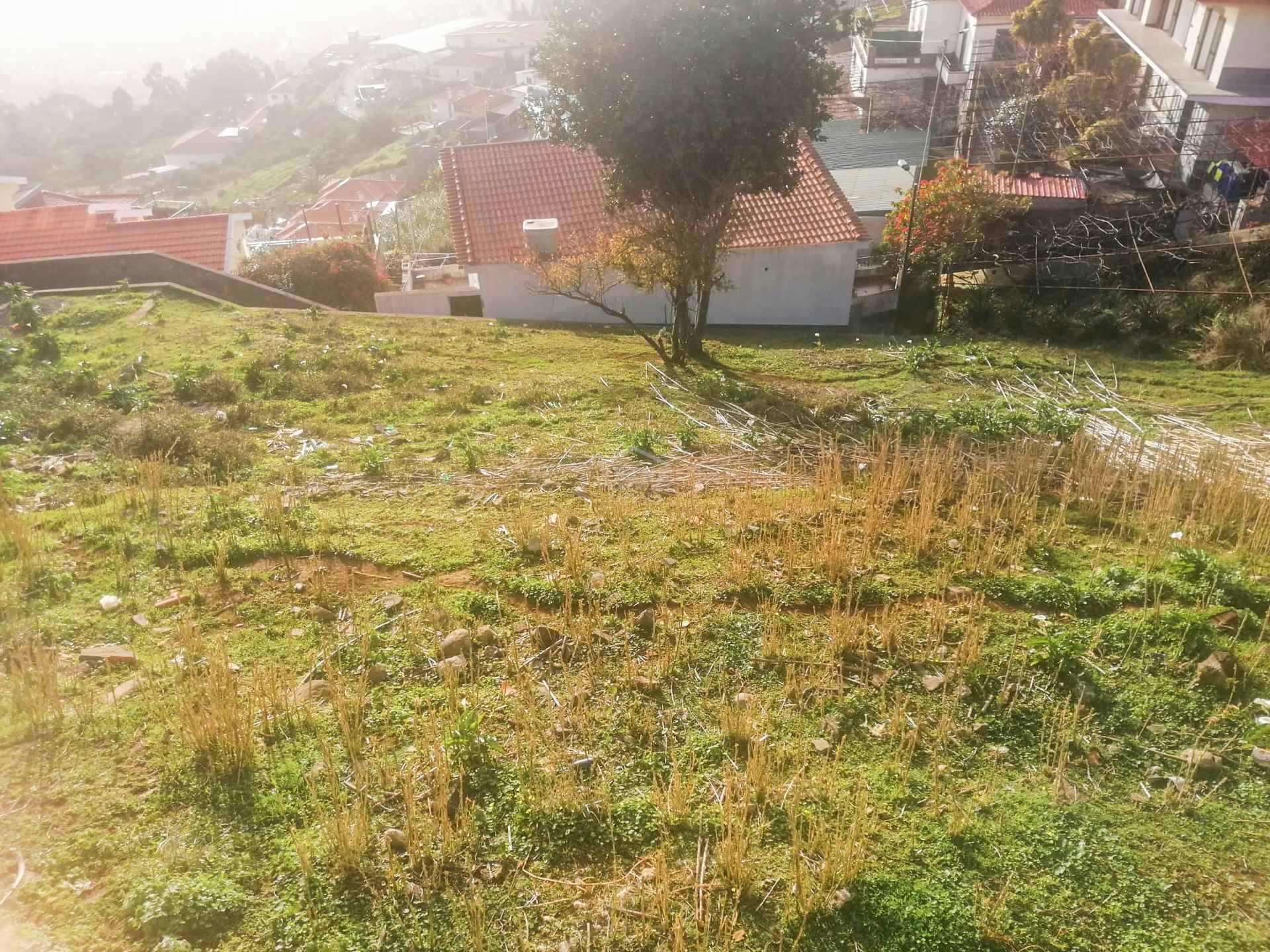 Tierra en Nuestra Señora del Monte, Madeira 10735702