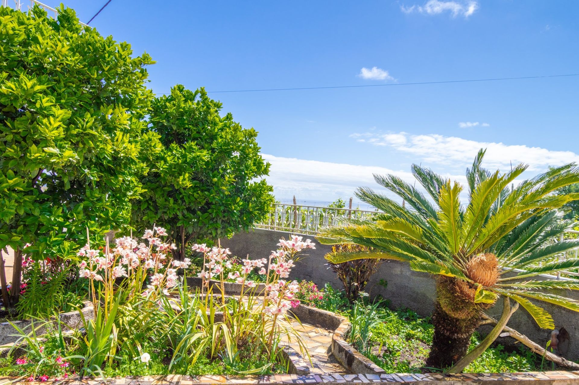 Haus im Farrobo, Madeira 10735732