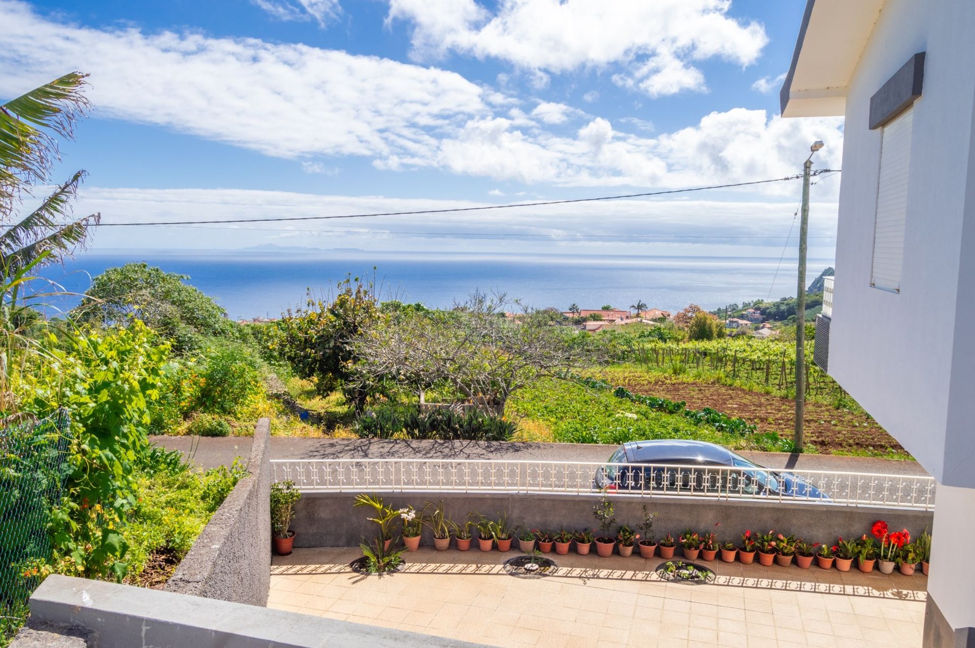 Haus im Farrobo, Madeira 10735732