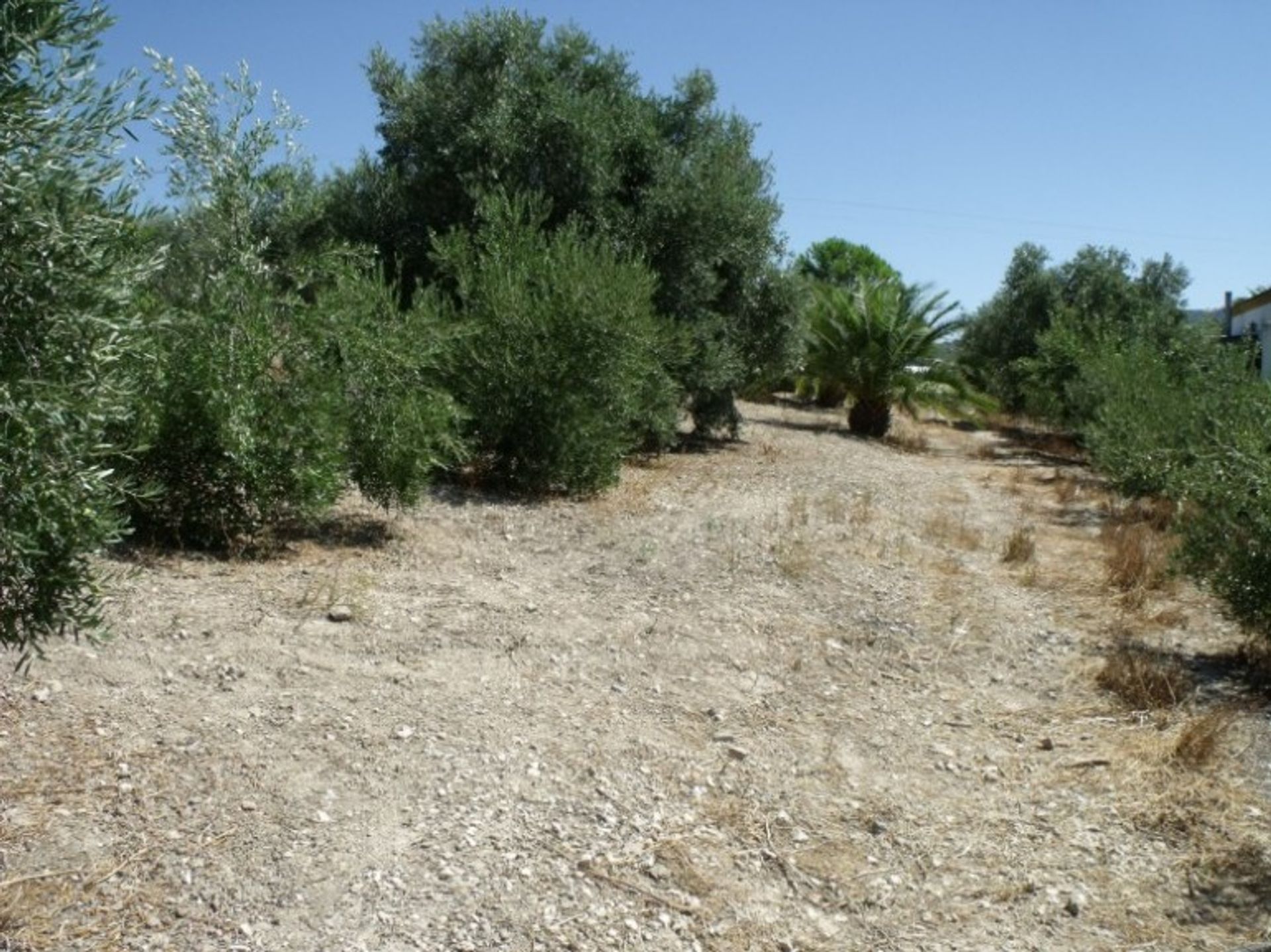 casa en olvera, Andalucía 10735798