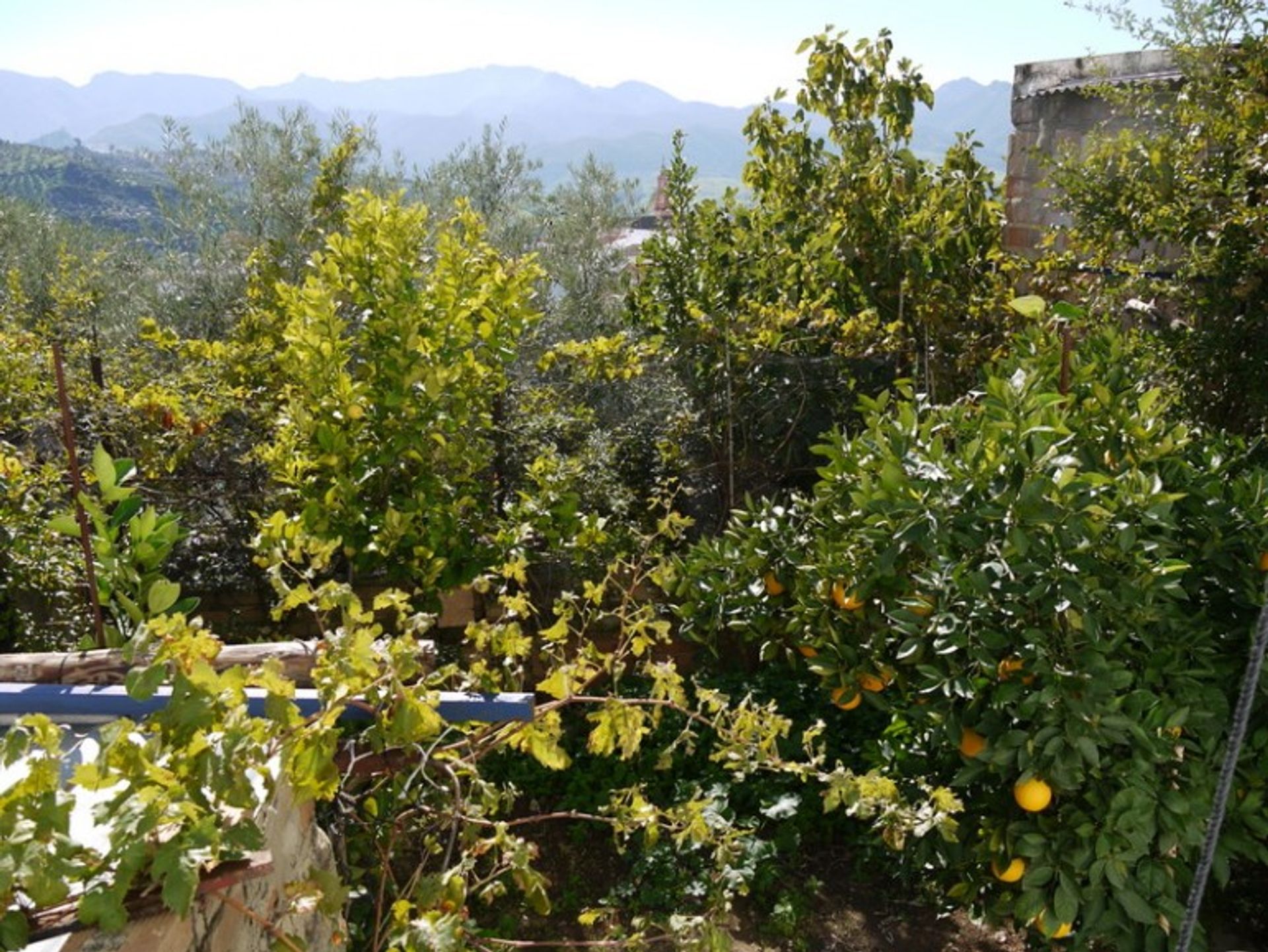 Casa nel Algodonales, Andalucía 10735858