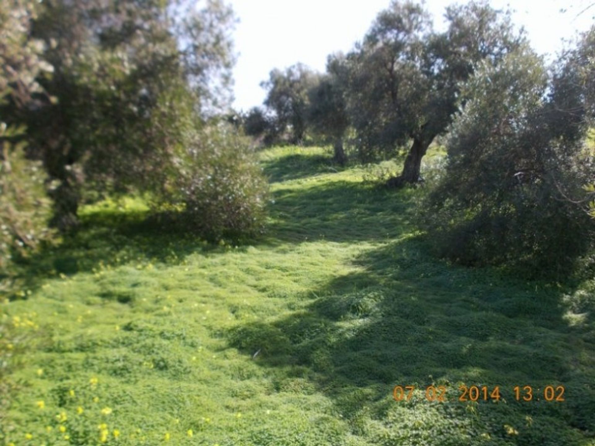 Land im Arcos de la Frontera, Andalucía 10735988