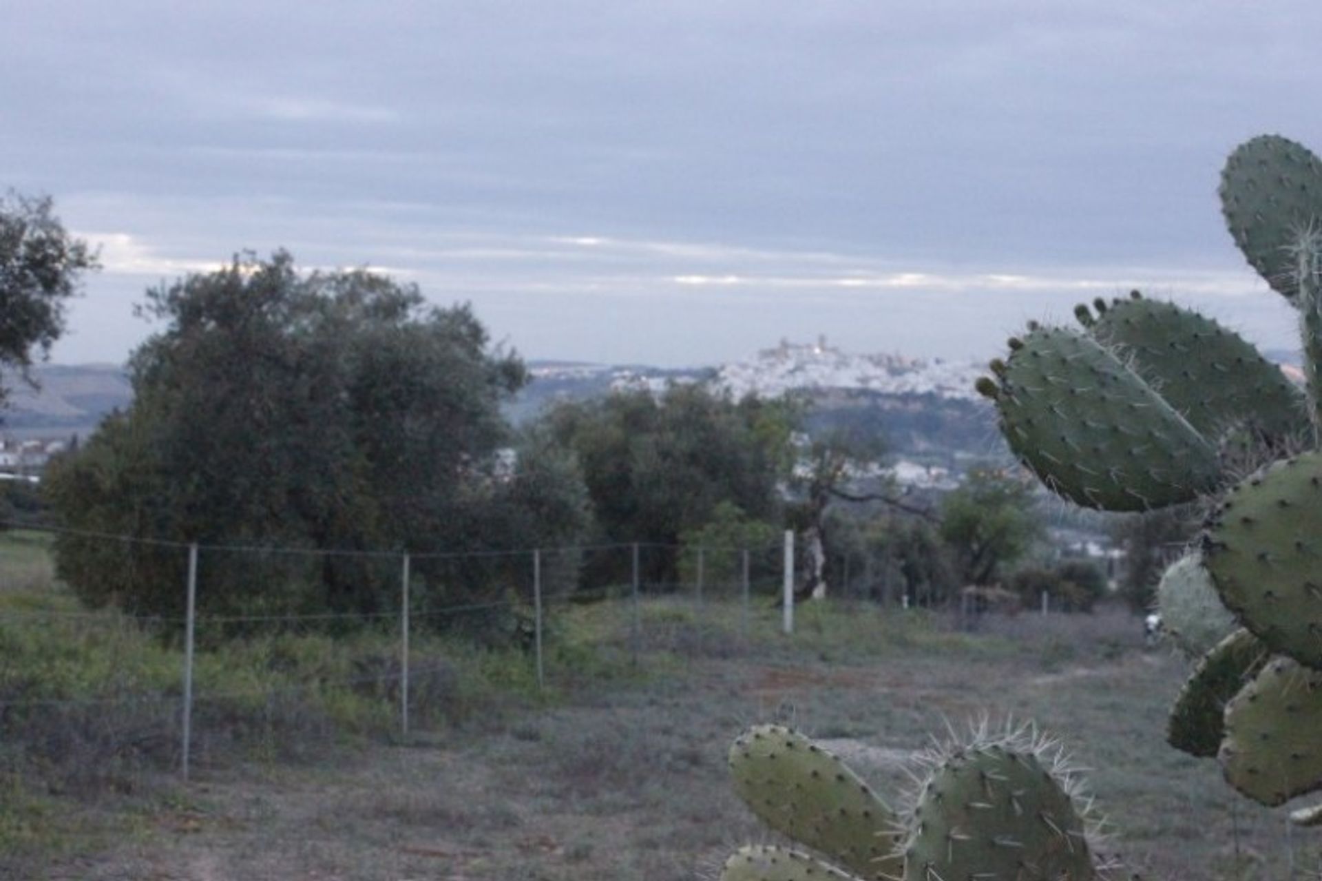 Land im Arcos de la Frontera, Andalucía 10735988