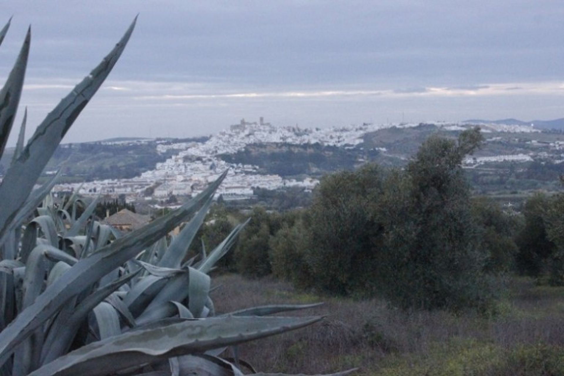 Land im Arcos de la Frontera, Andalusien 10735988