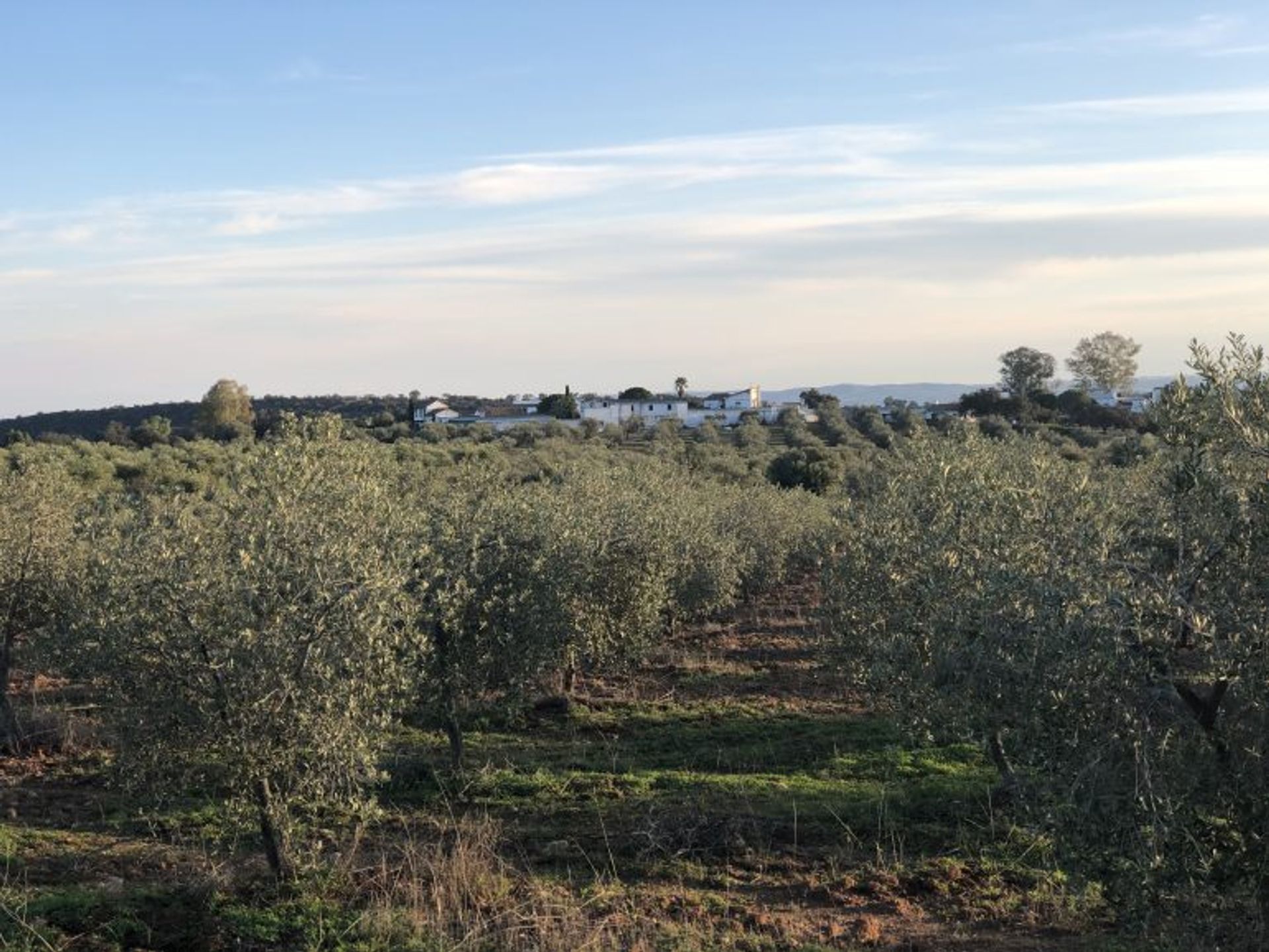 Haus im Tomares, Andalucía 10736198