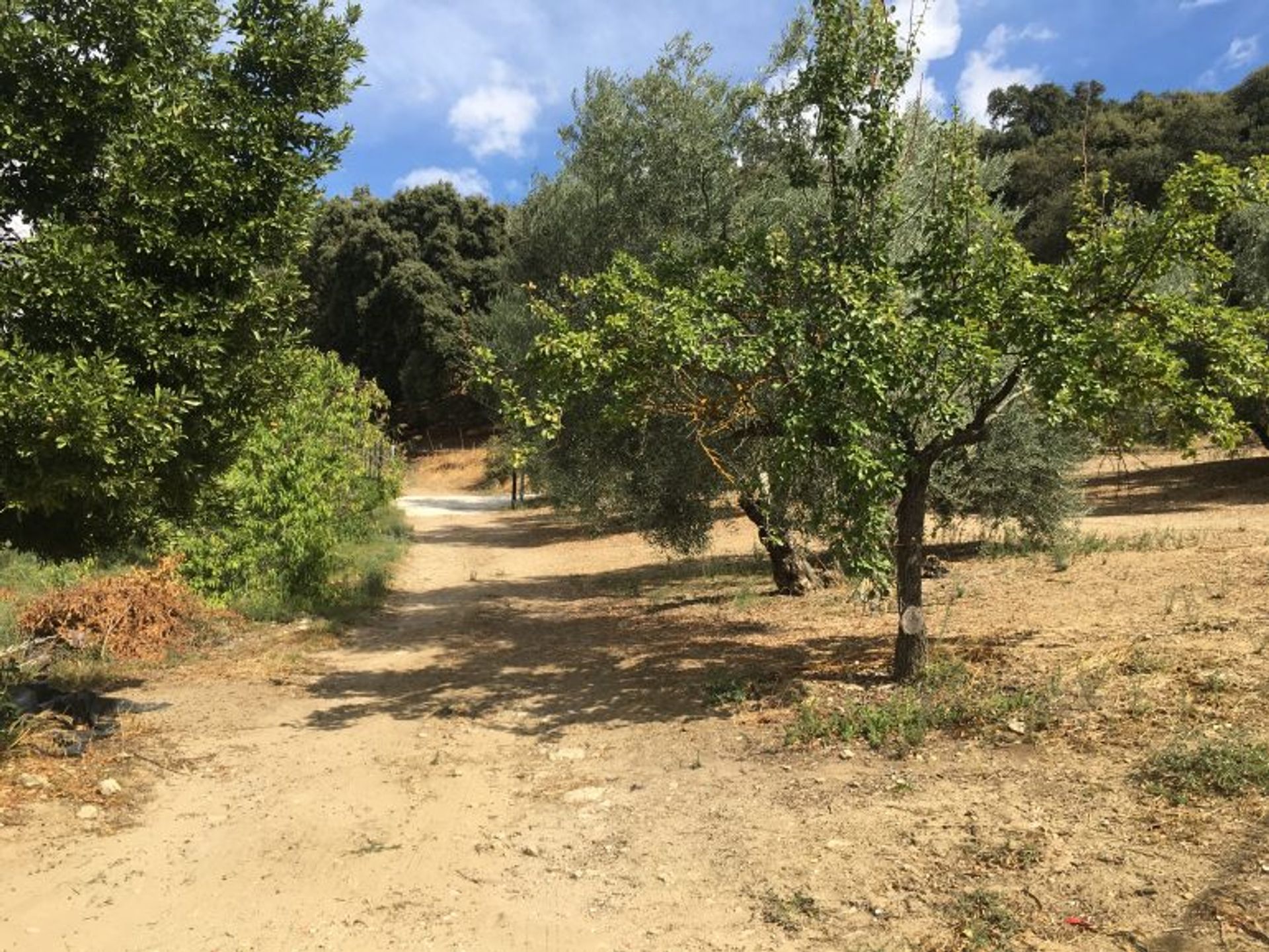 Huis in Ronda, Andalucía 10736209