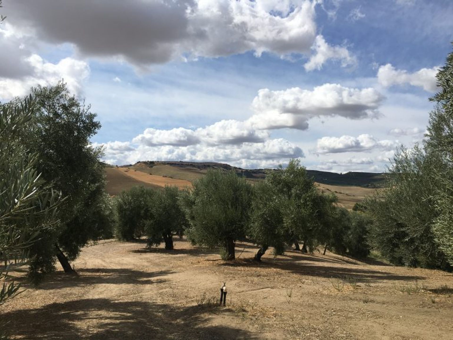 casa en Ronda, Andalucía 10736209