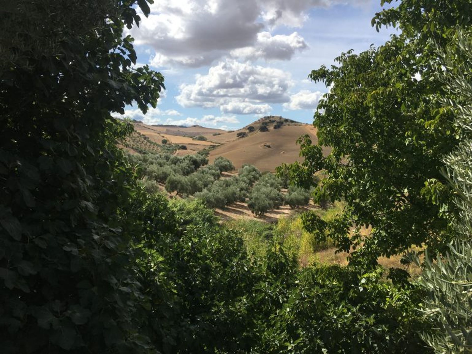 casa en Ronda, Andalucía 10736209