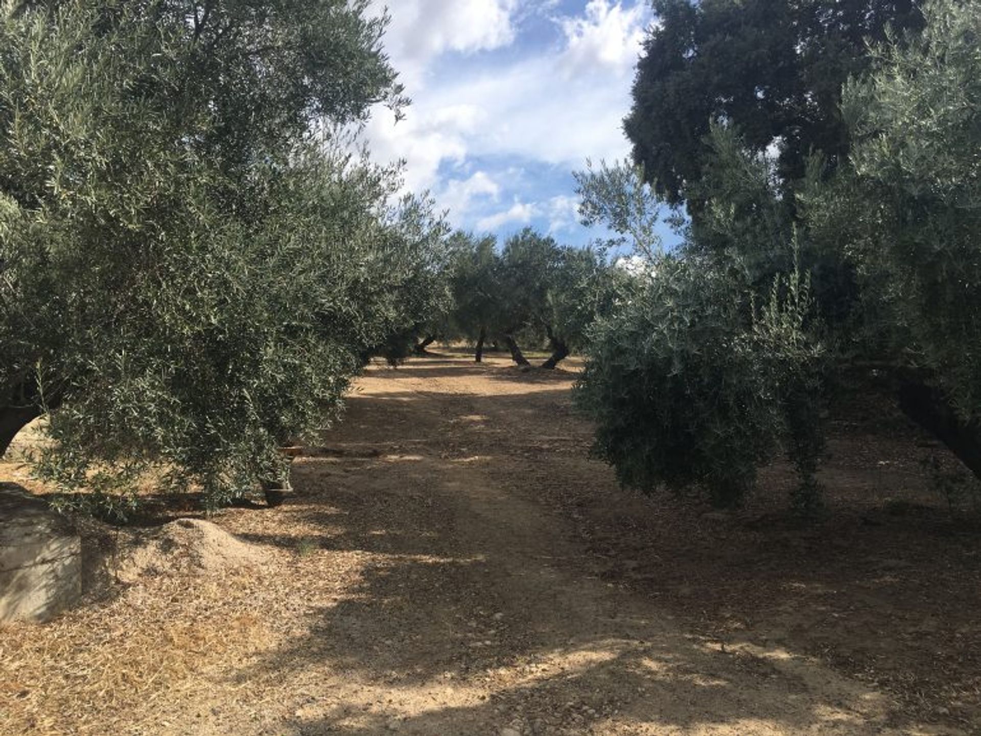 casa no Ronda, Andalucía 10736209