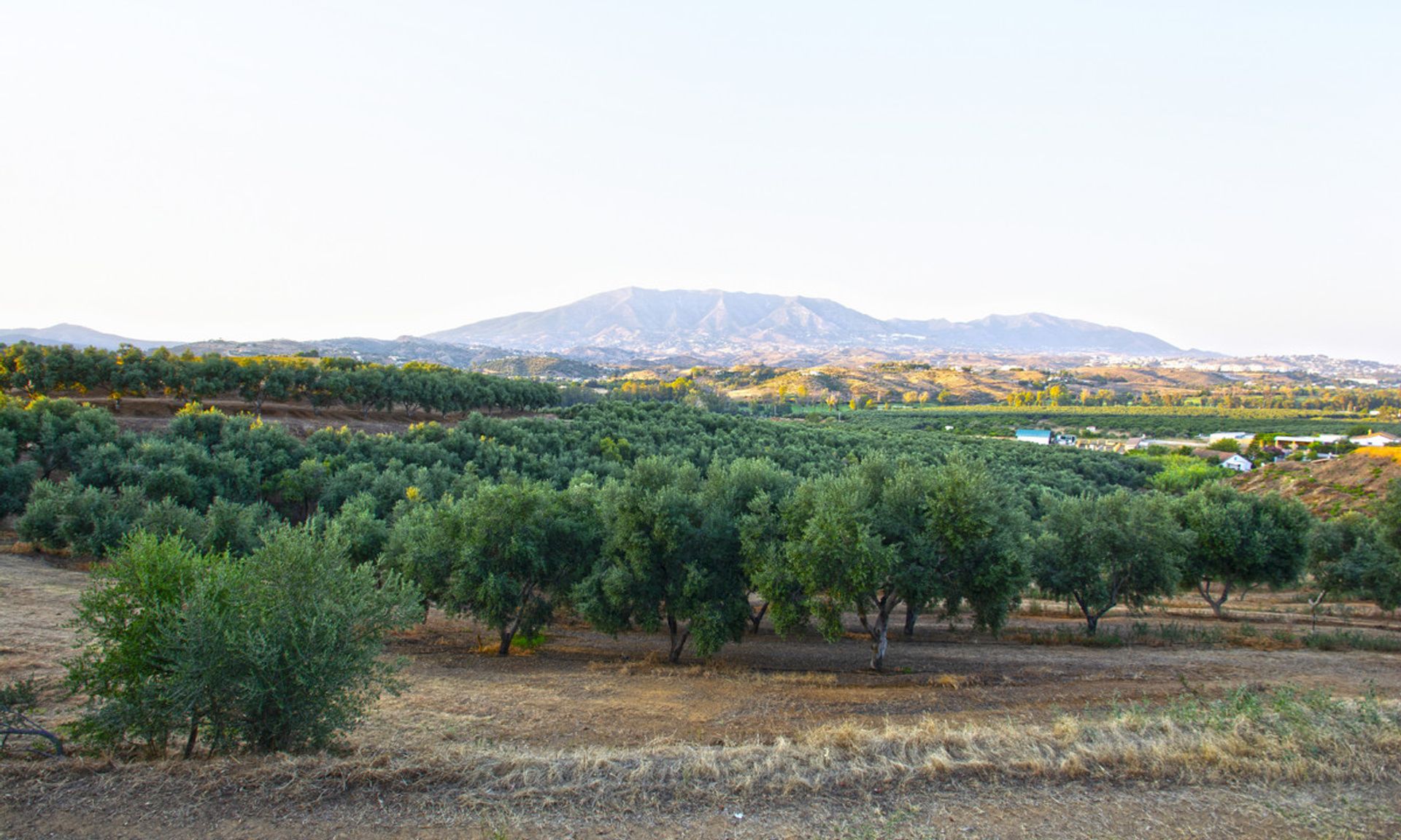 Terre dans Fuengirola, Andalousie 10737171