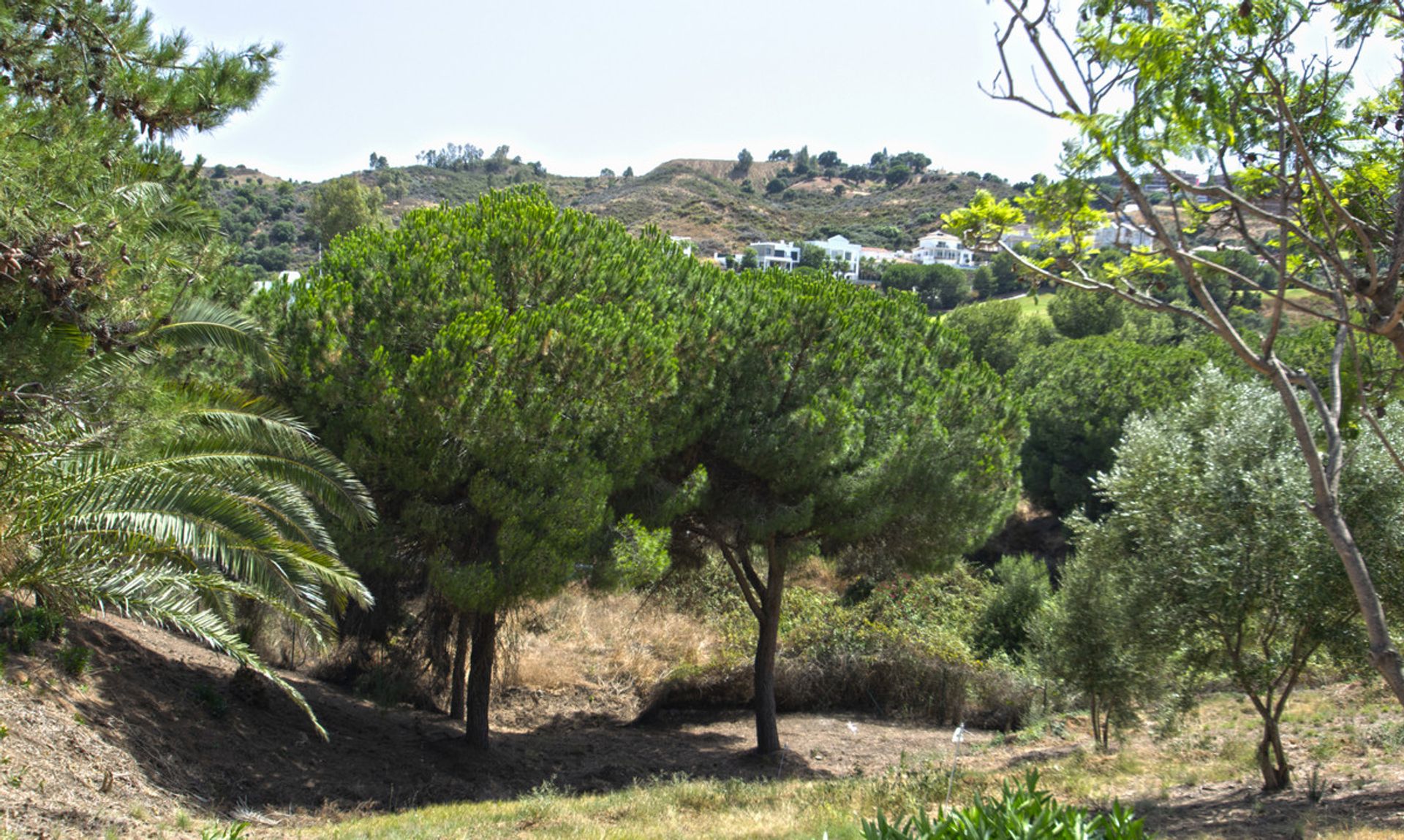 Tierra en Mijas, Andalucía 10737174