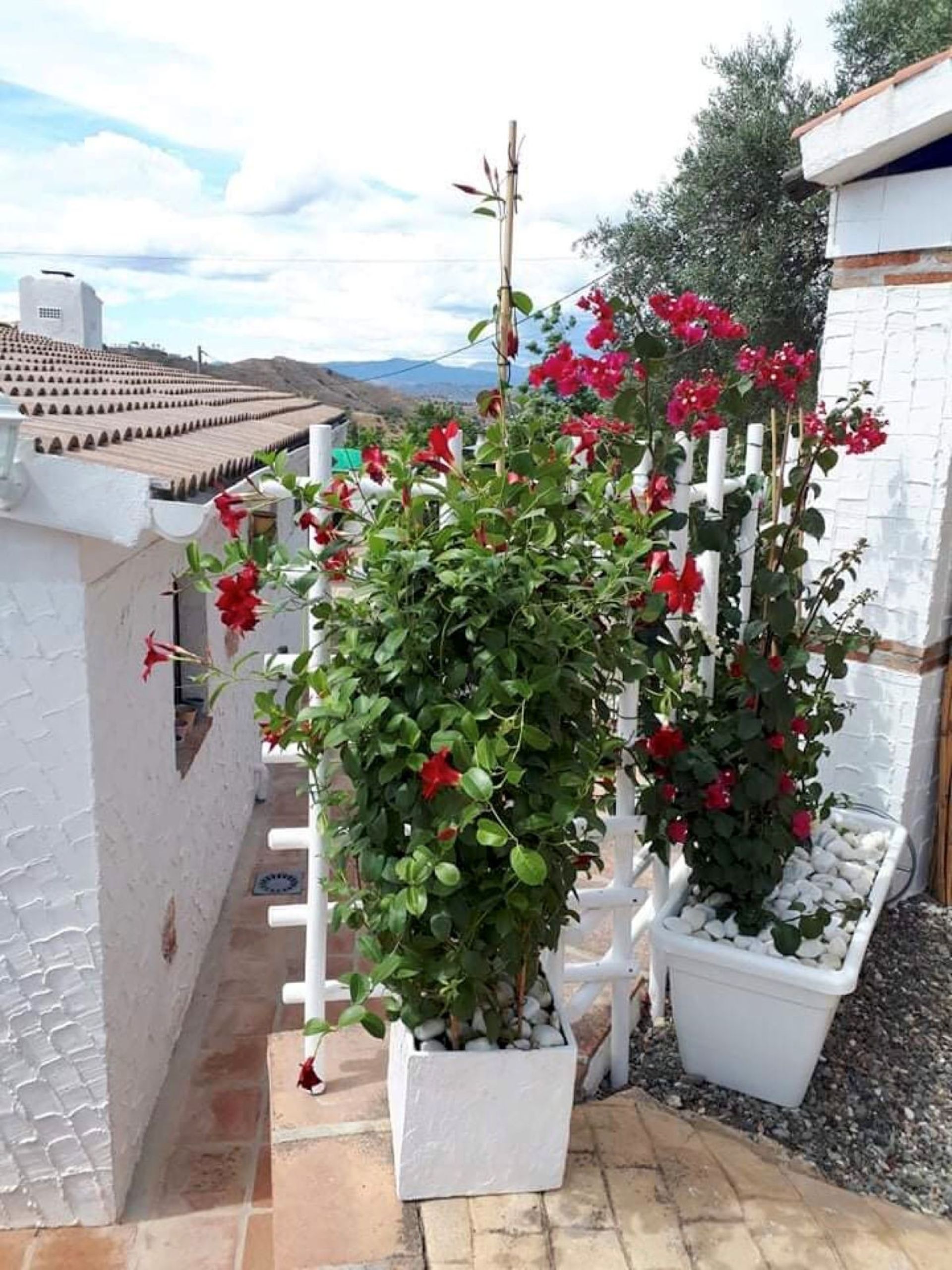 casa no Moeda, Andaluzia 10737204