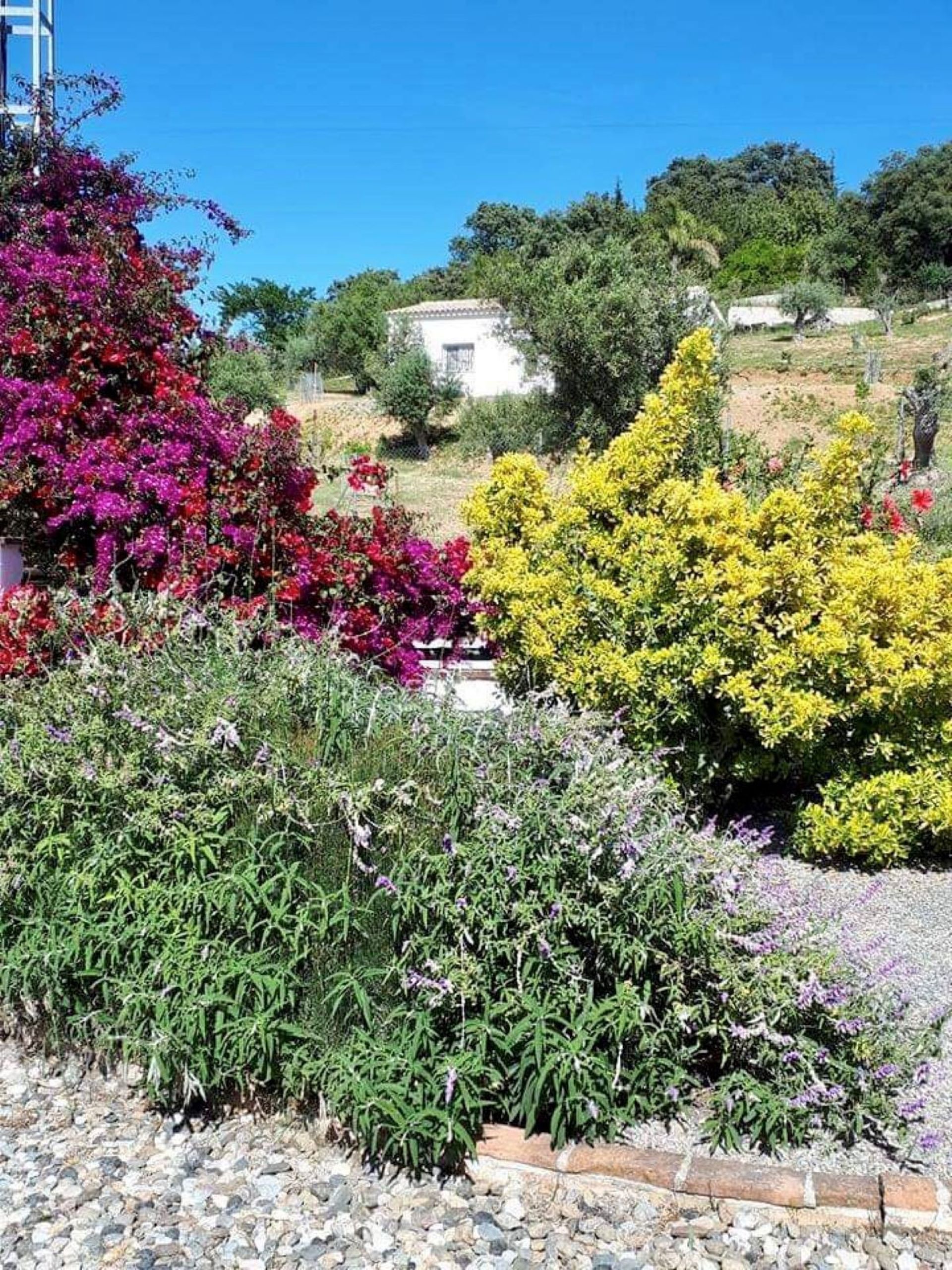 casa no Moeda, Andaluzia 10737204