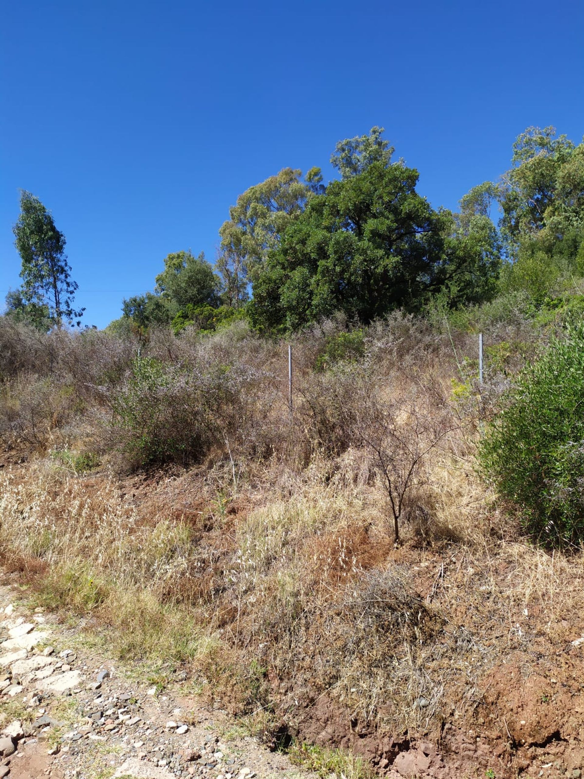 Land in Estepona, Andalusië 10737215