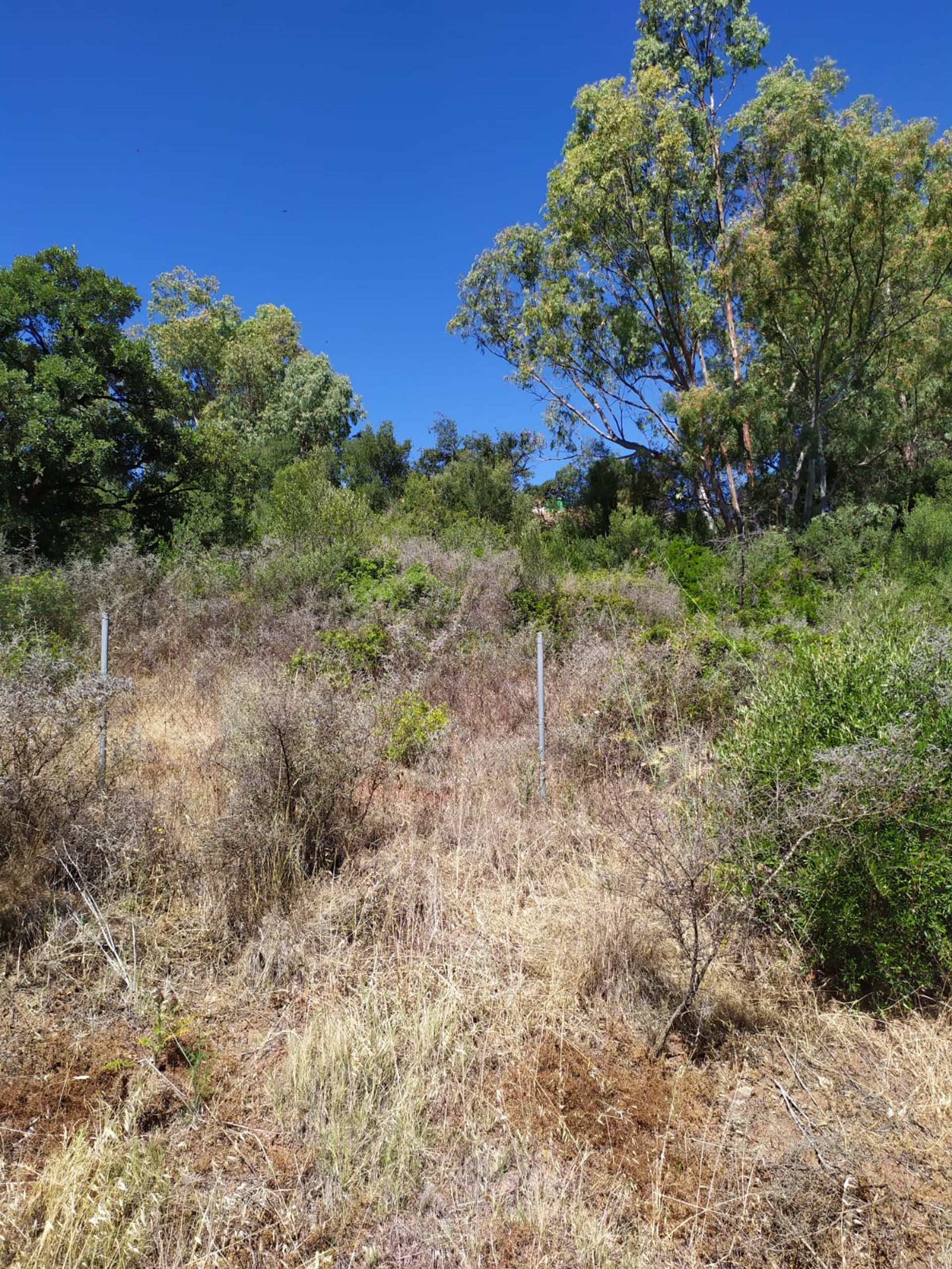 Land in Estepona, Andalusië 10737215