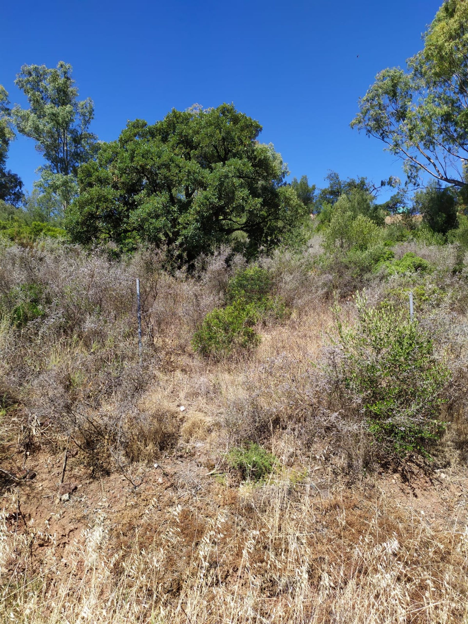 Land in Estepona, Andalusië 10737215