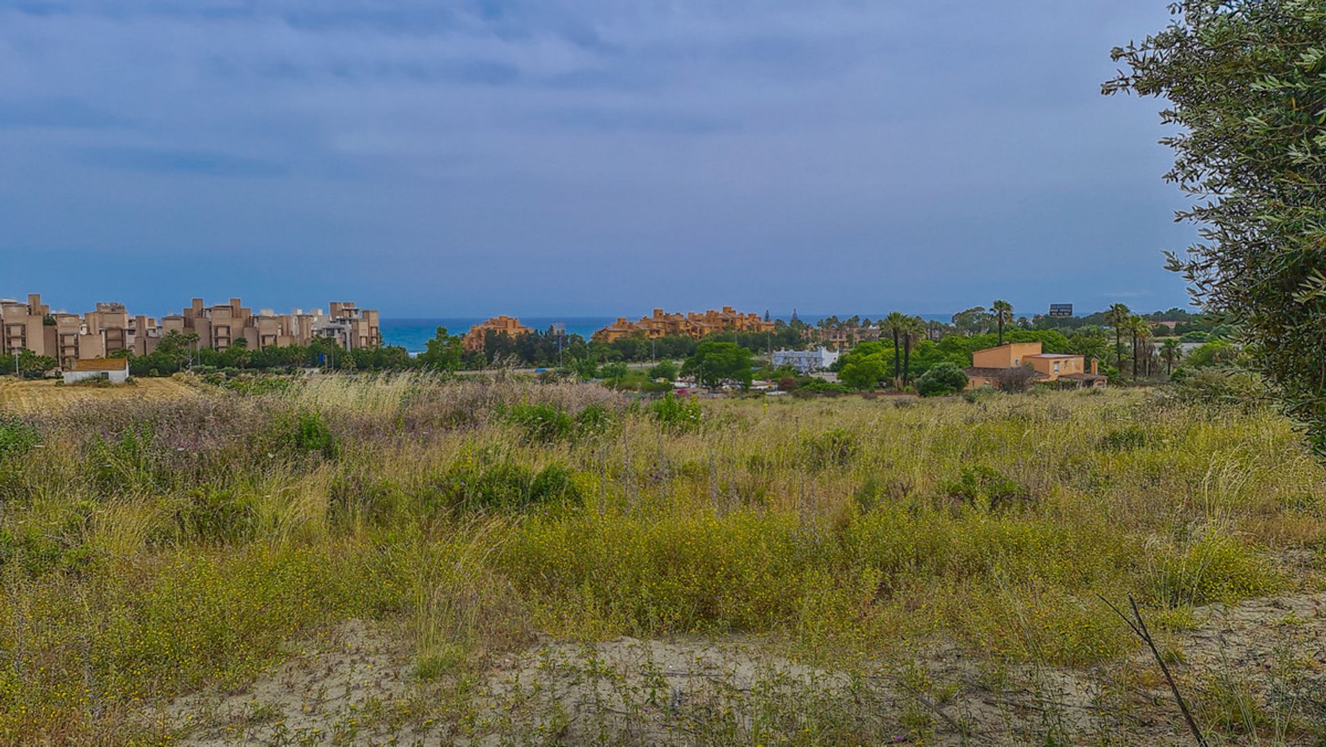 Land in Estepona, Andalusia 10737219