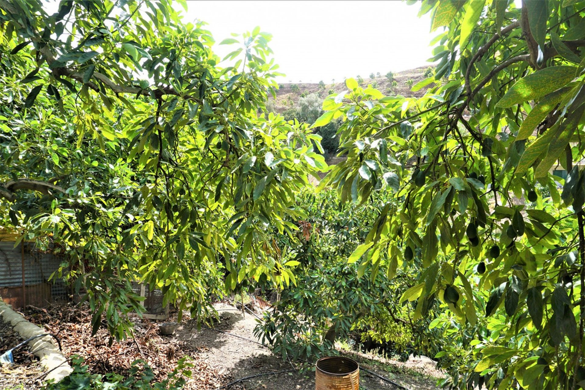 casa no Vinuela, Andaluzia 10737408