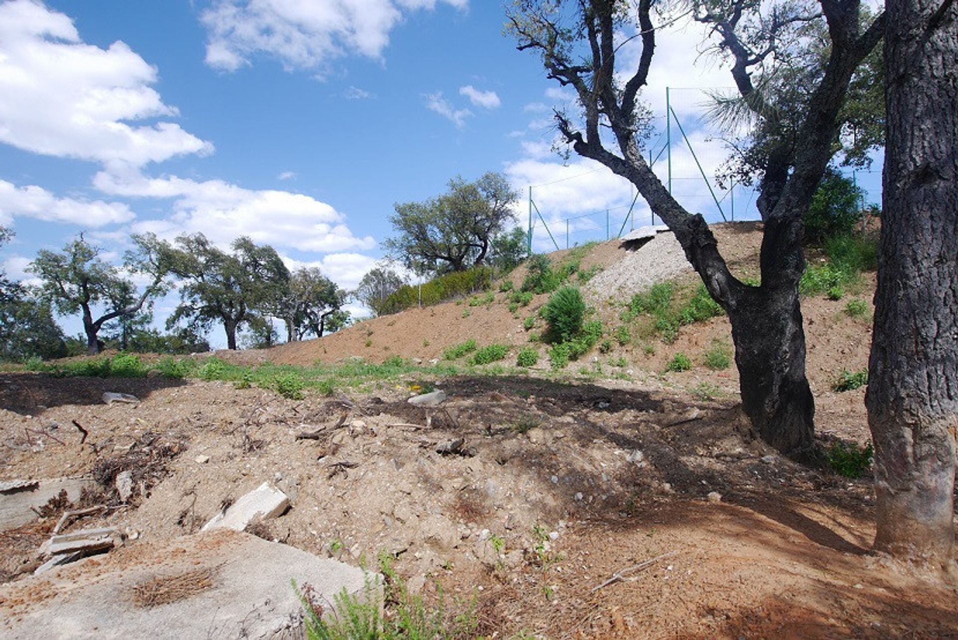 Tanah dalam Ojen, Andalusia 10737667