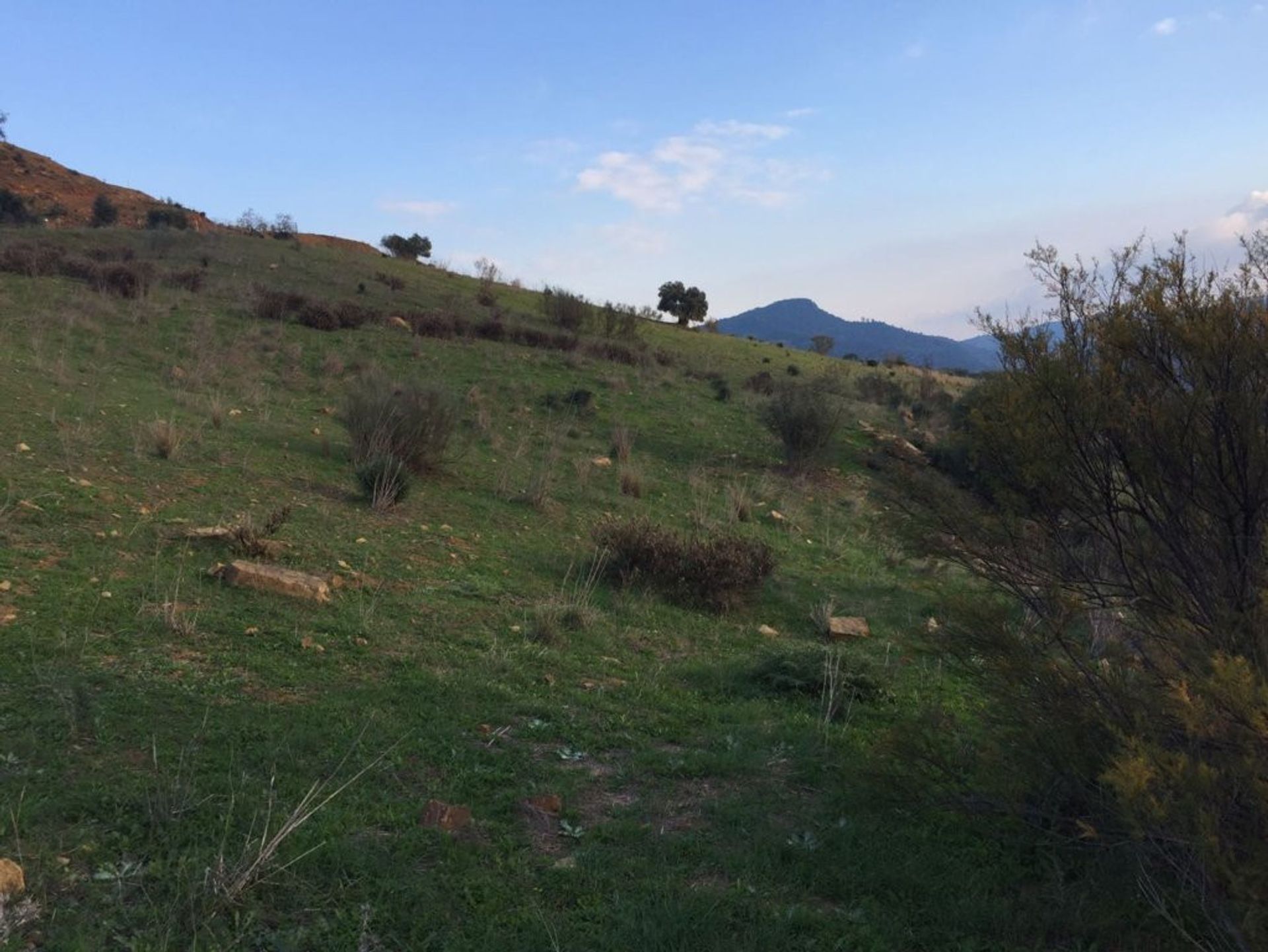 Tierra en Almáchar, Andalucía 10737684