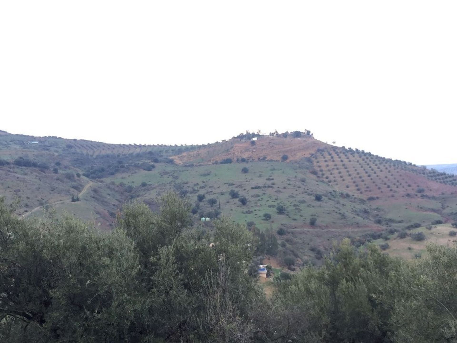 Tierra en Almáchar, Andalucía 10737684