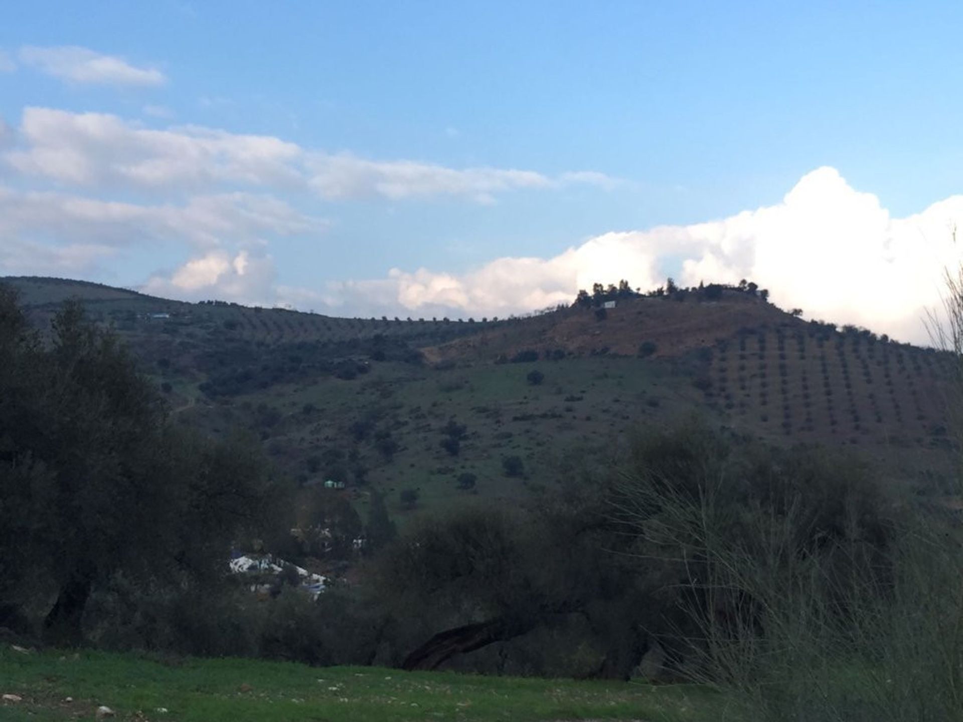 Tierra en Almáchar, Andalucía 10737684