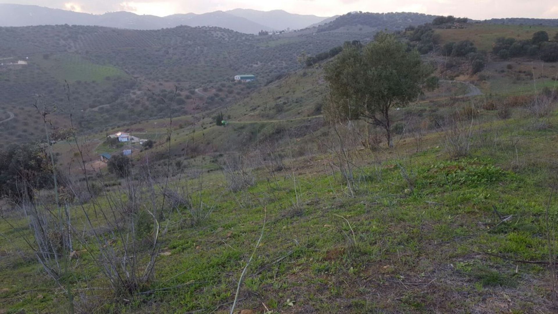 Tierra en Almáchar, Andalucía 10737684