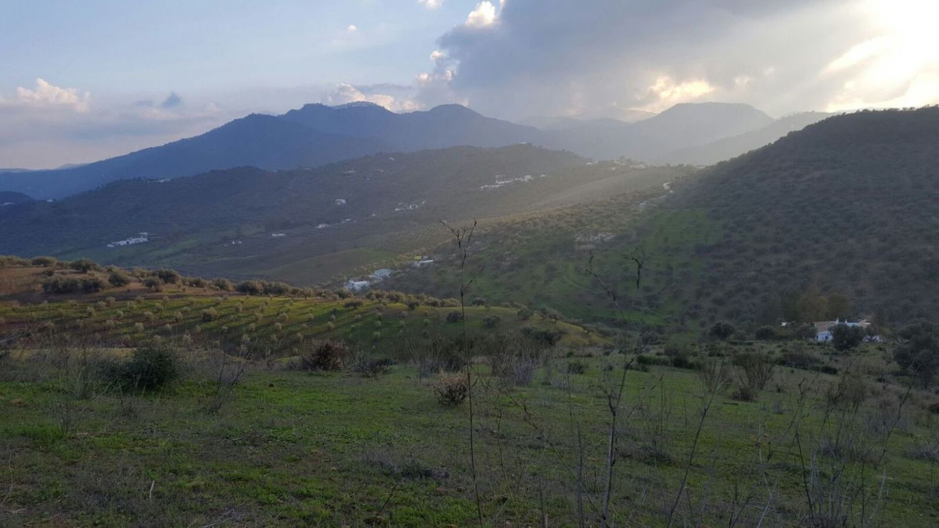 Tierra en Almáchar, Andalucía 10737684