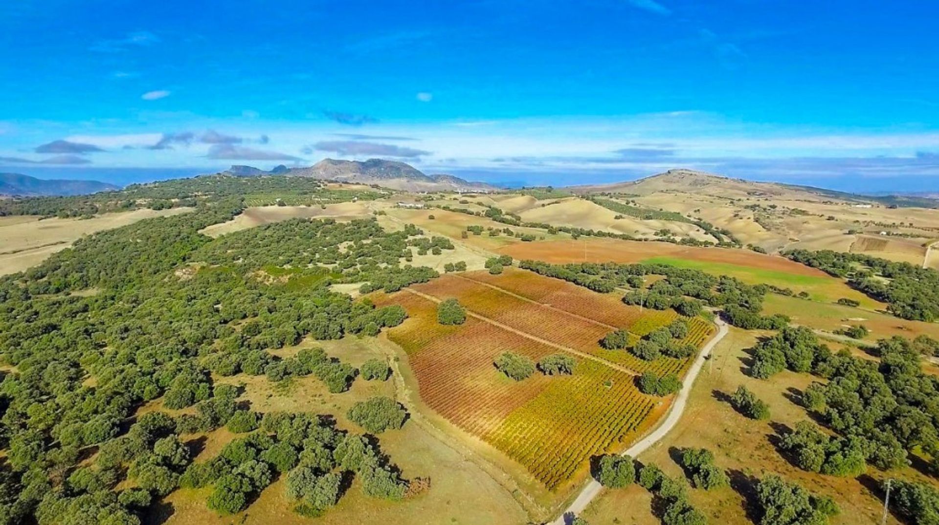 casa en Ronda, Andalucía 10737708