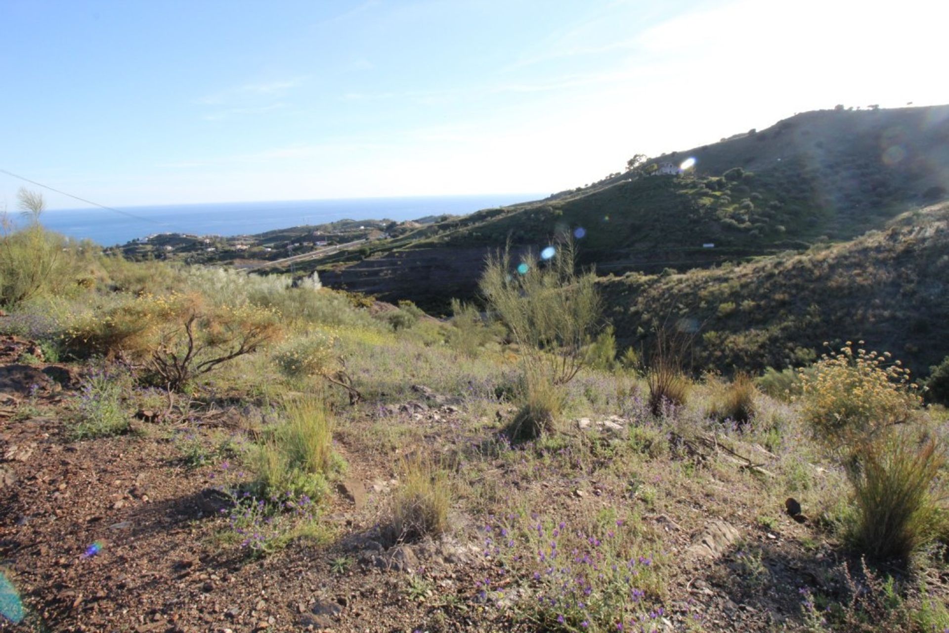 Земельные участки в Benajarafe, Andalucía 10737799