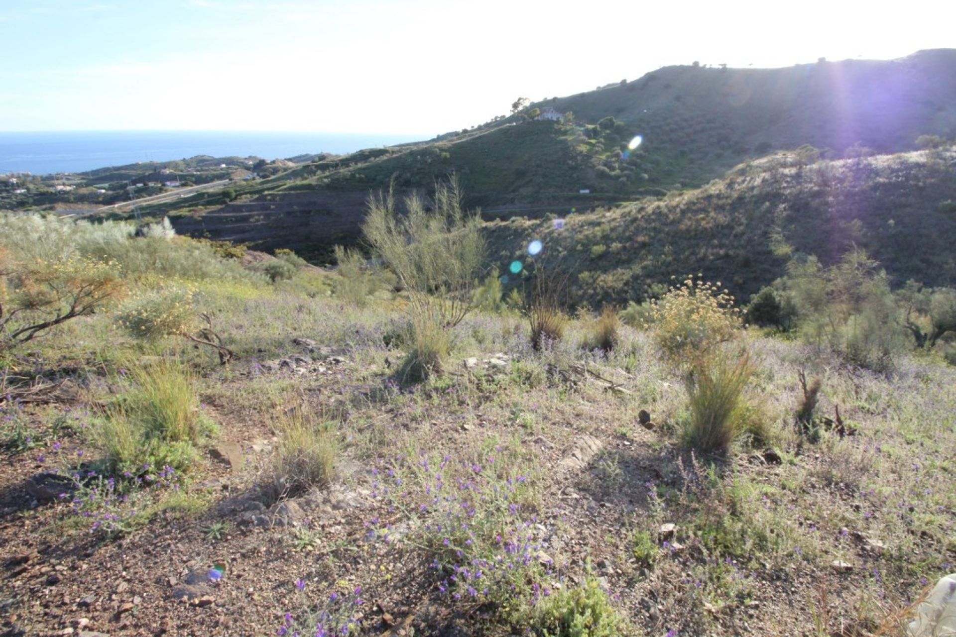 Земельные участки в Benajarafe, Andalucía 10737799