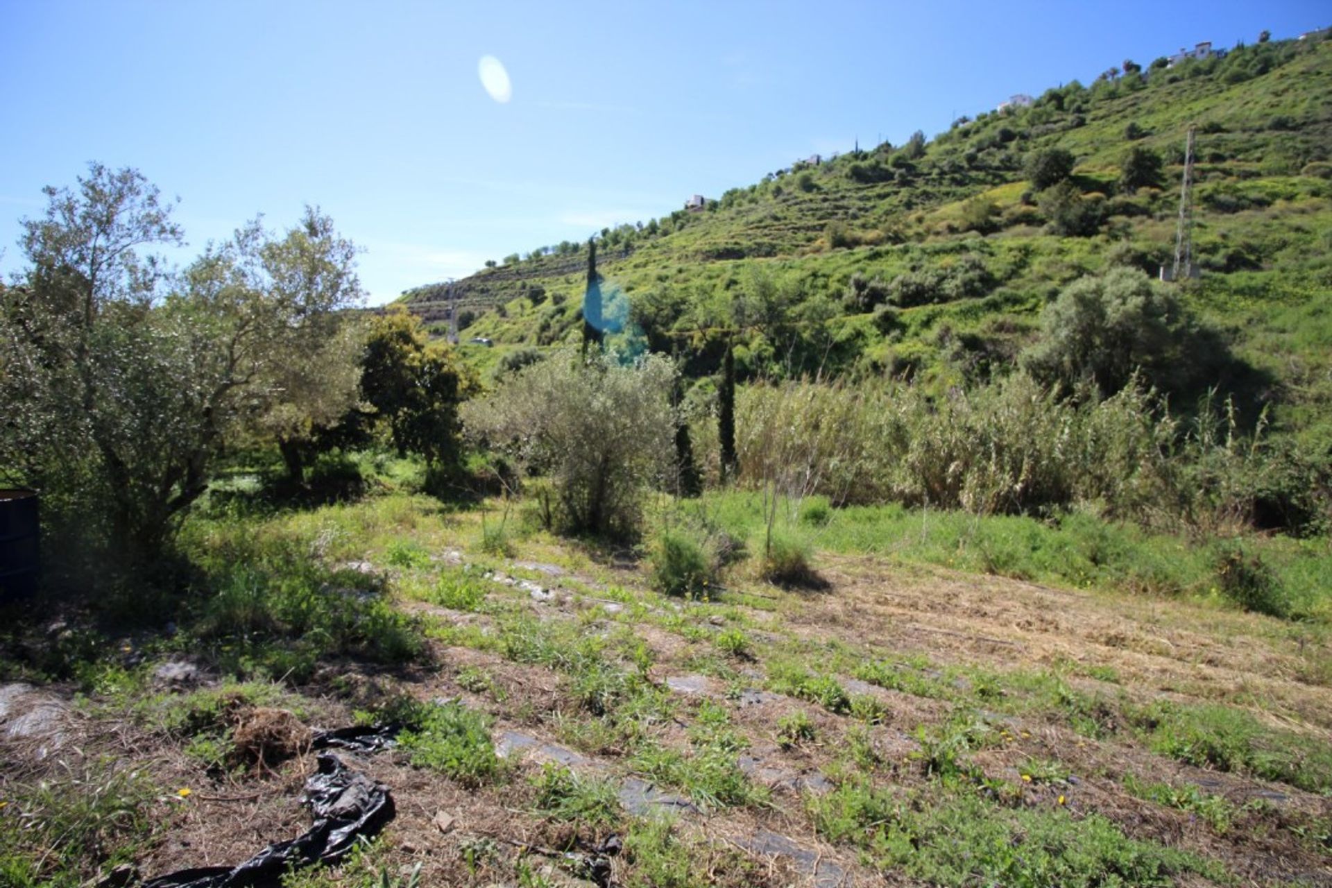 Tierra en torrox, Andalucía 10737803