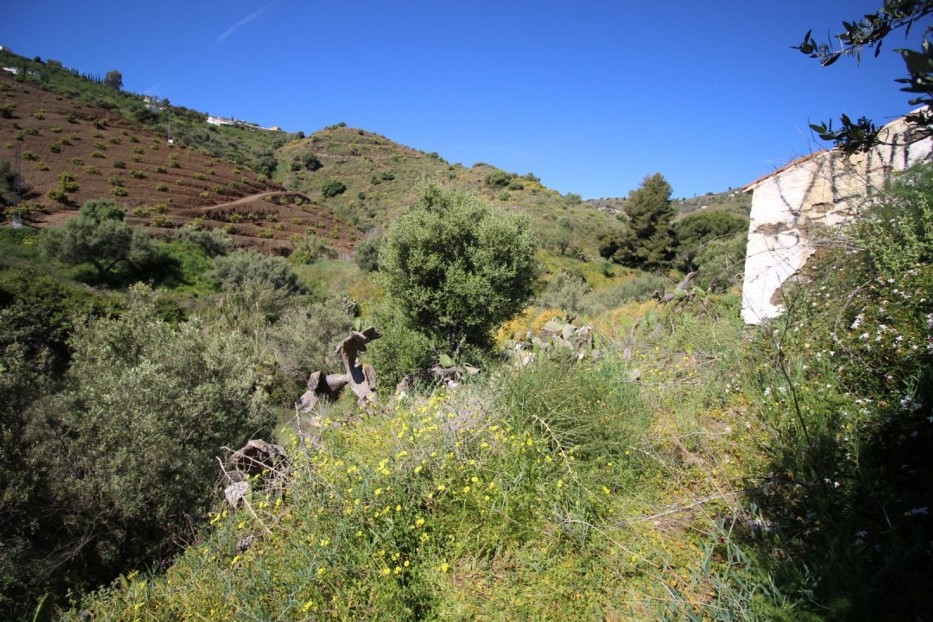 Γη σε Torrox, Andalucía 10737803