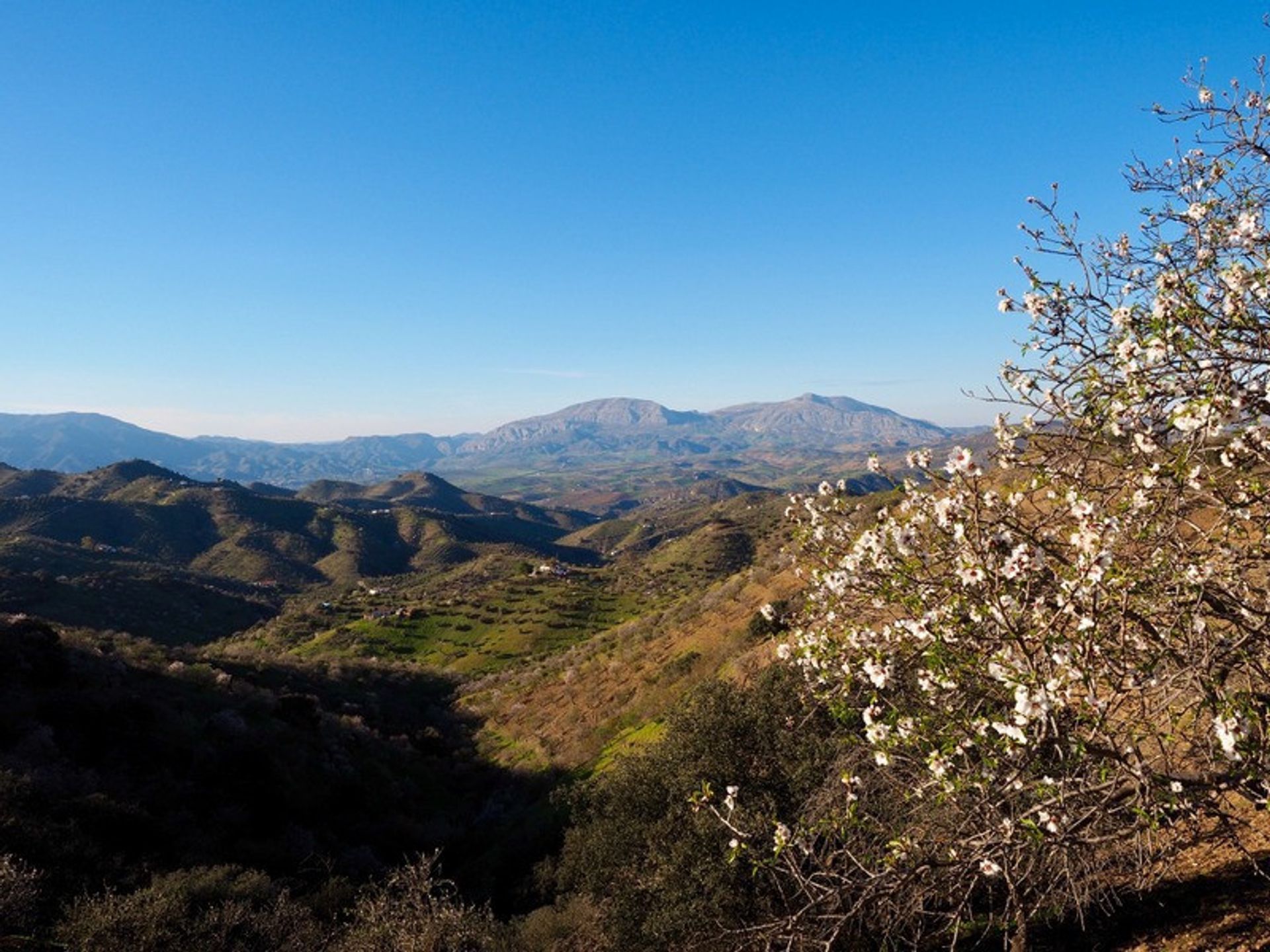 Talo sisään Álora, Andalucía 10737912