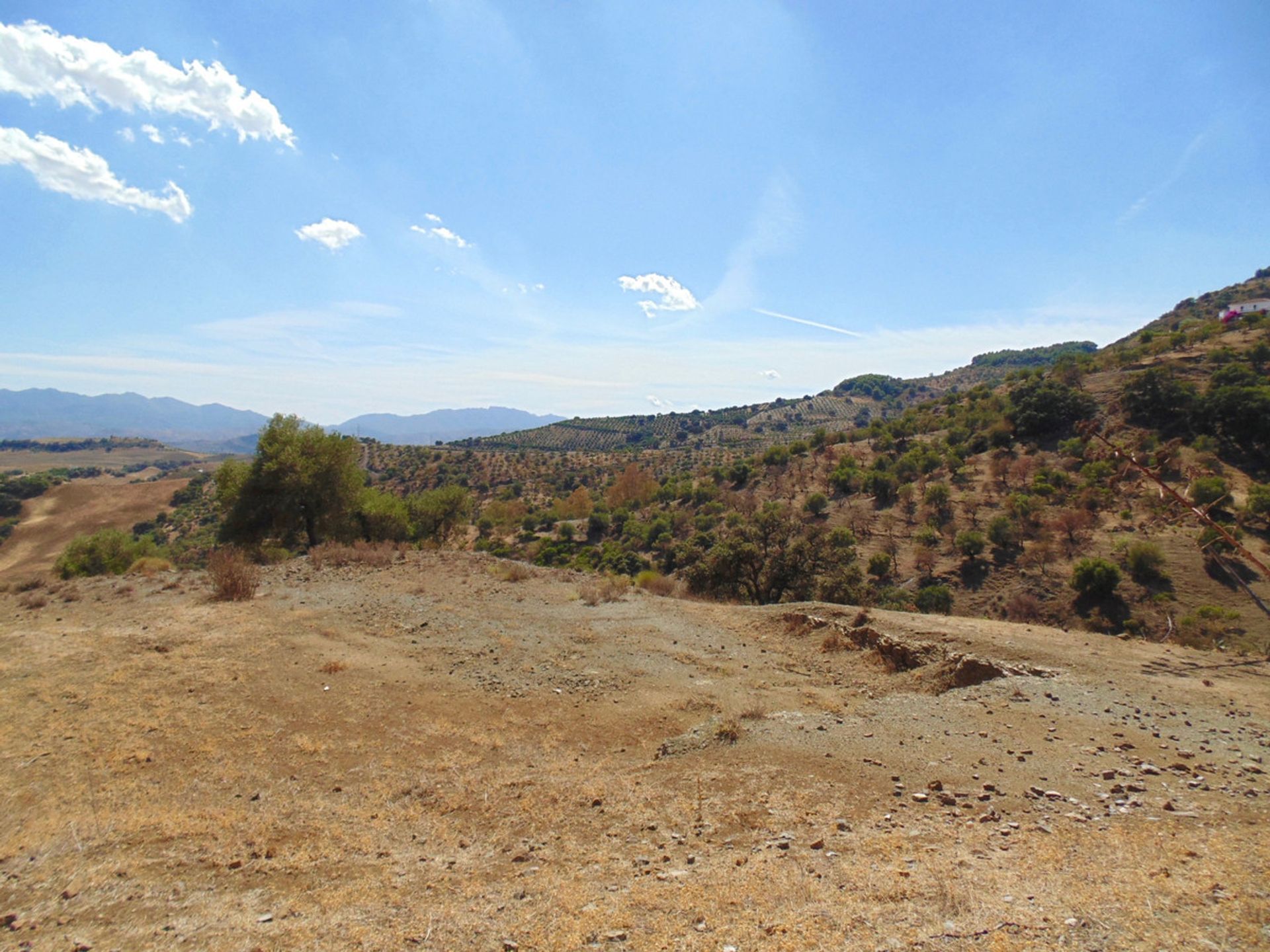 Terre dans Casarabonela, Andalucía 10737974