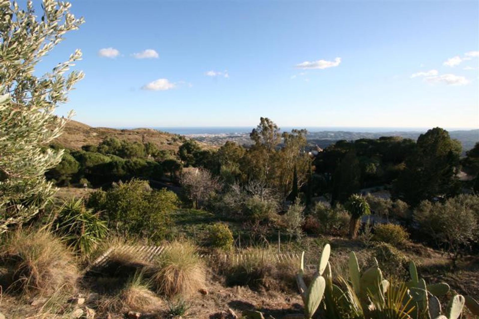 Terra no Alhaurín el Grande, Andaluzia 10738036