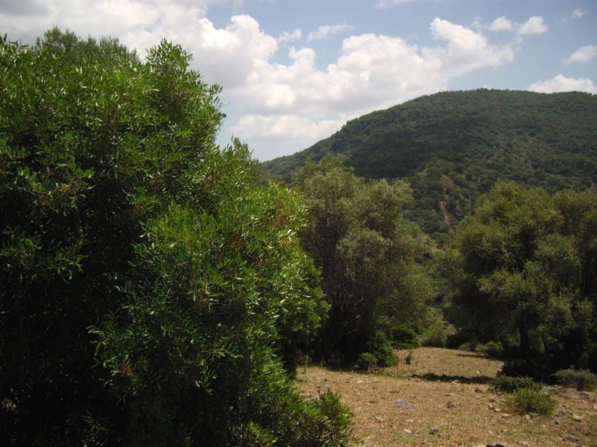 Jord i Cortes de la Frontera, Andalucía 10738199