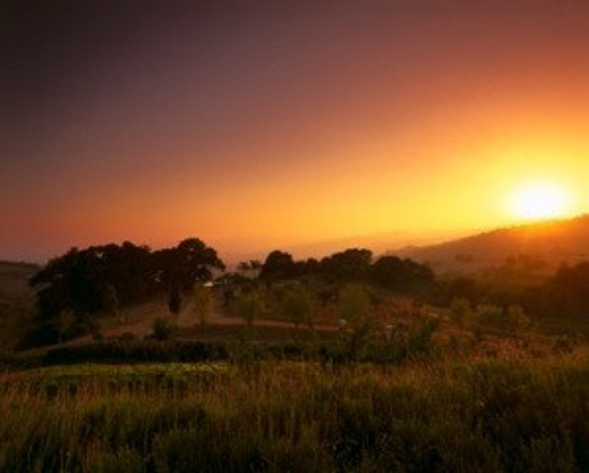 房子 在 Gaucín, Andalucía 10738293