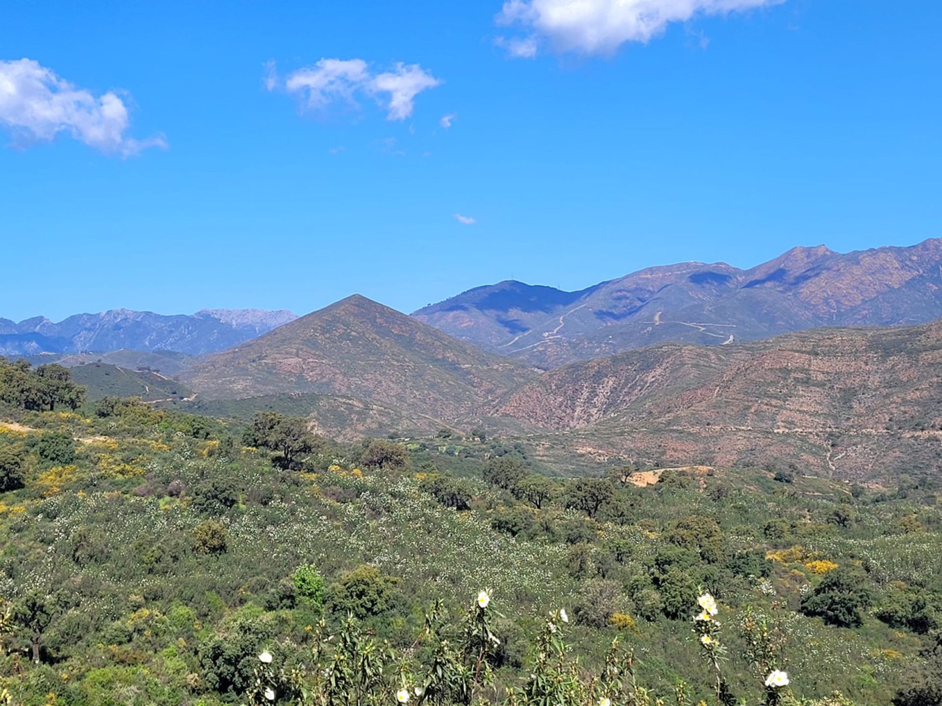 Industrieel in Ojen, Andalusië 10738324